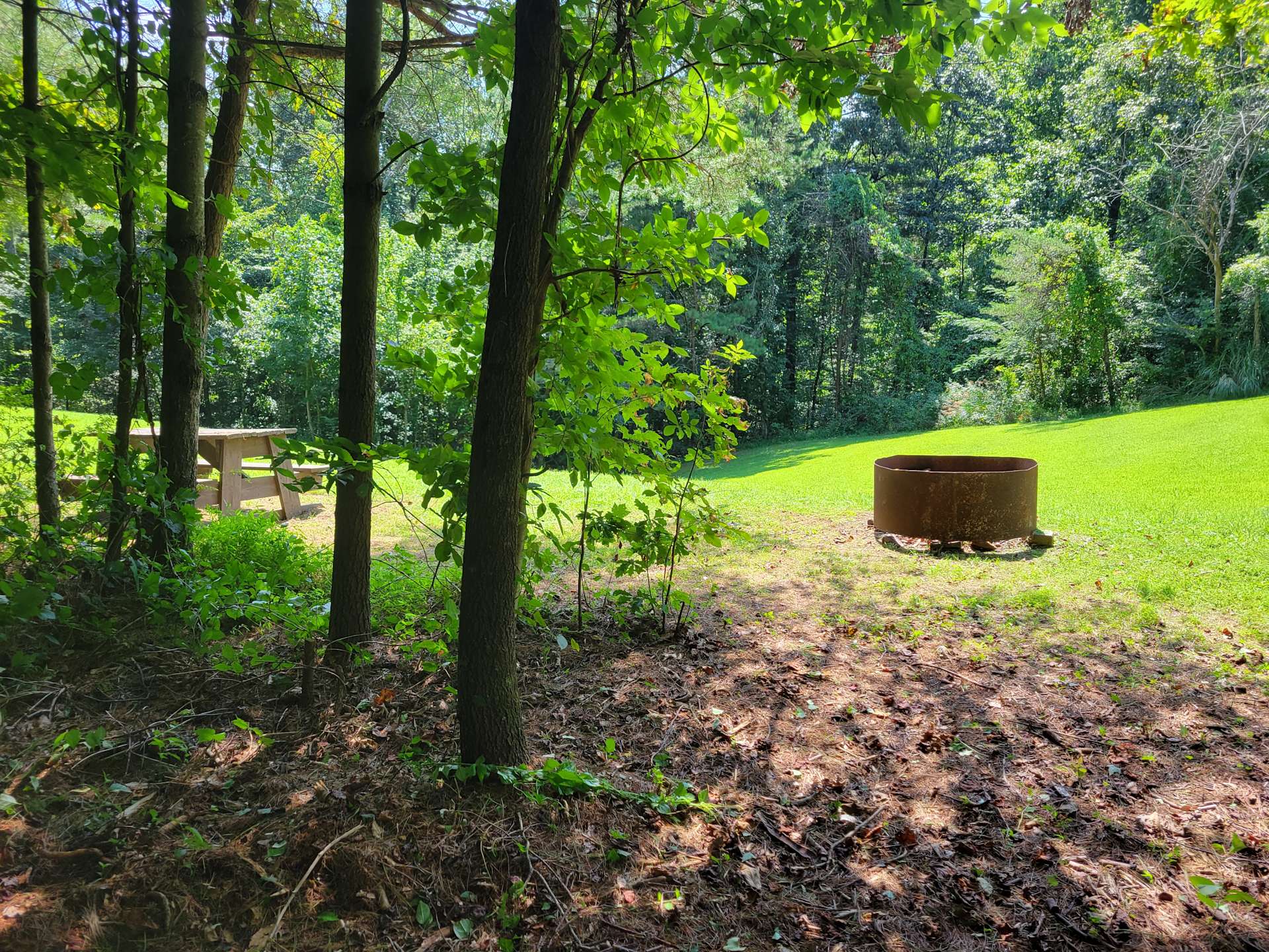 Mountain View Acres Hipcamp in Flat Rock, North Carolina