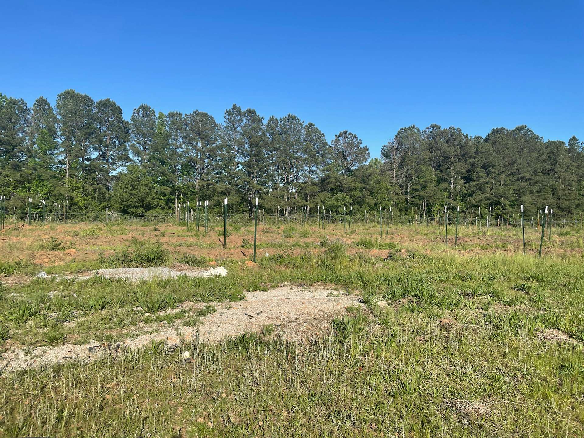 King of Crops Farm Hipcamp in Douglasville,