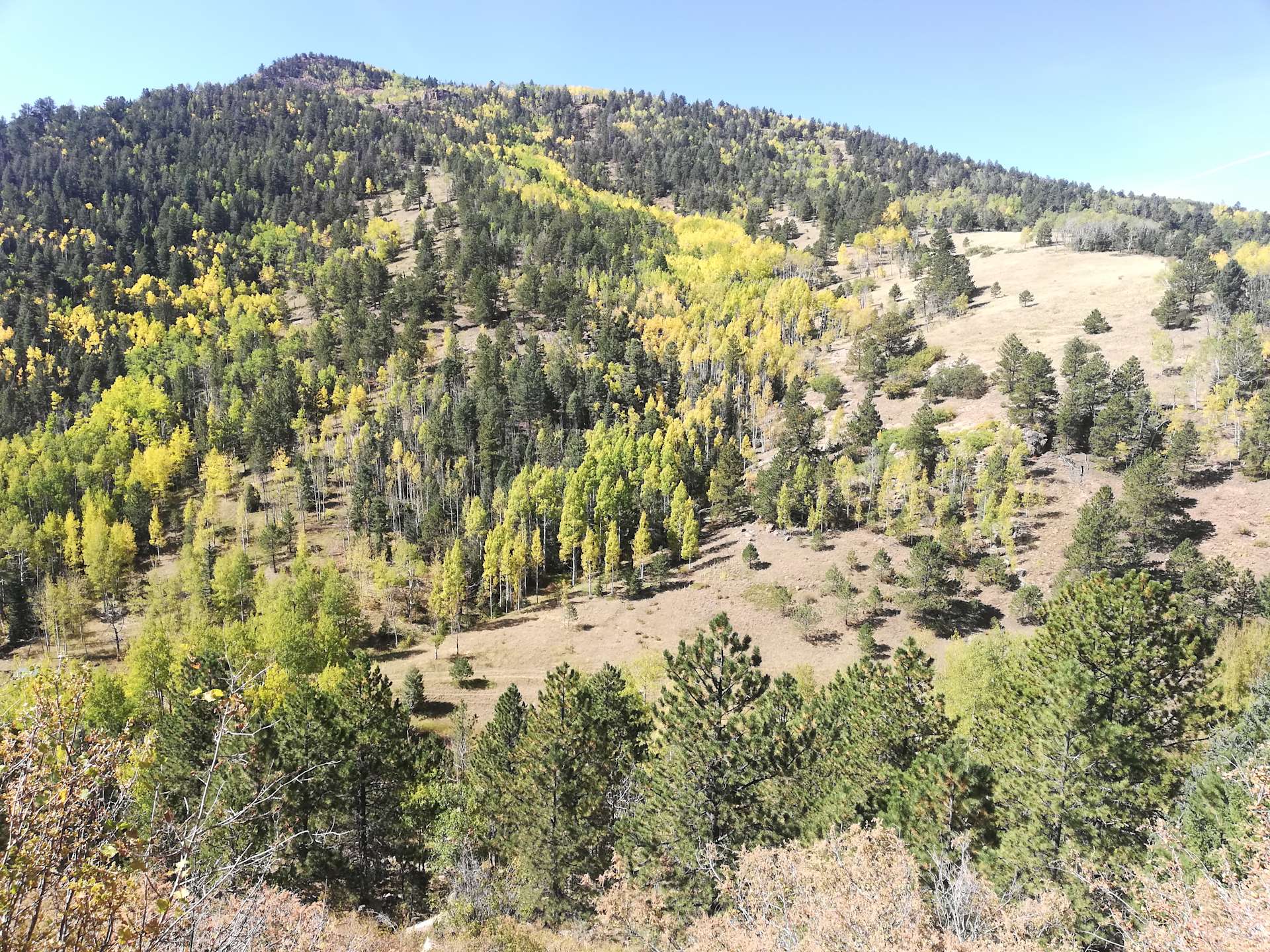 Jeremy S.’s Land Hipcamp in Cripple Creek, Colorado