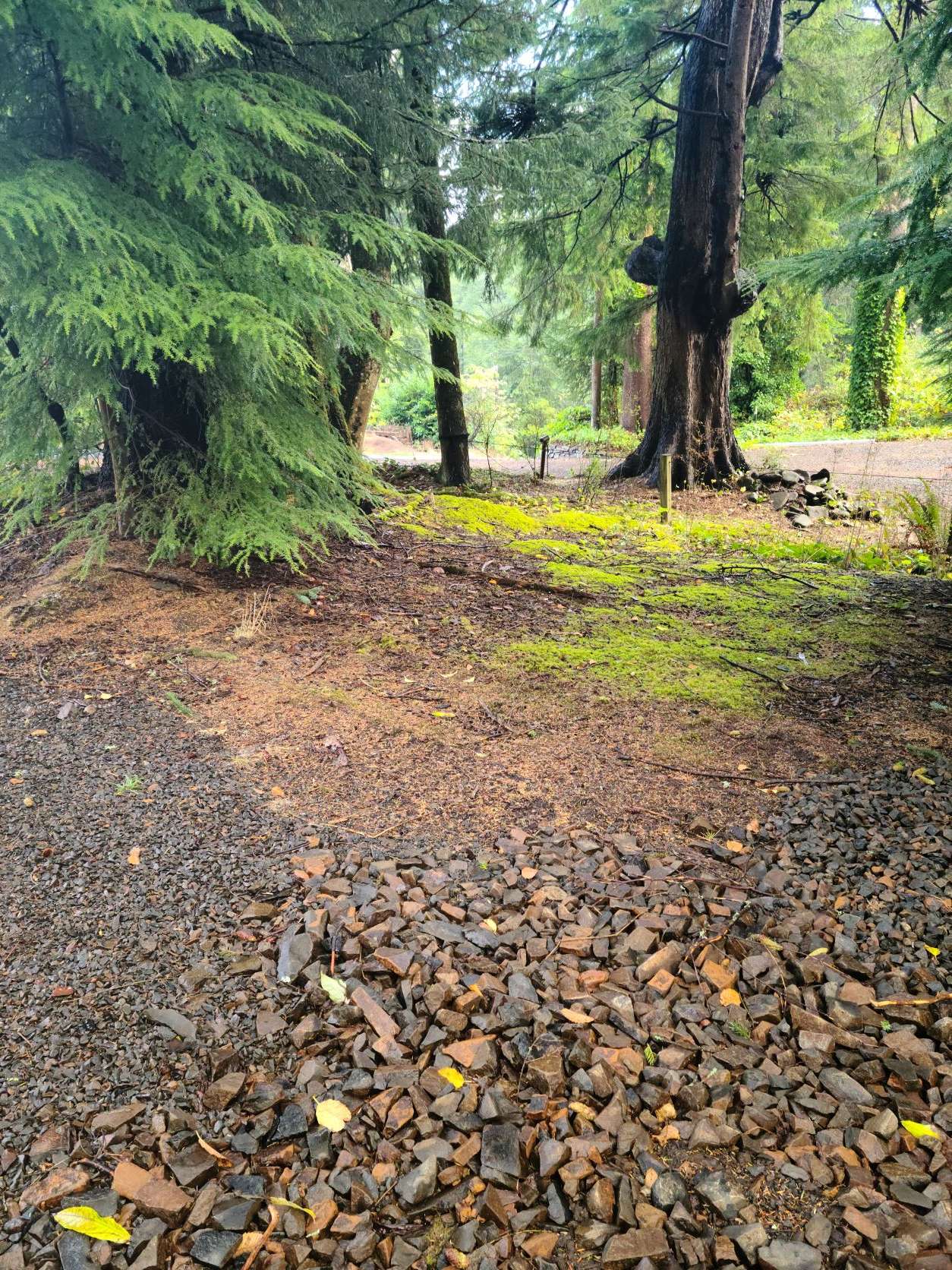 Craigslist In Tillamook Oregon - bwd0bkr