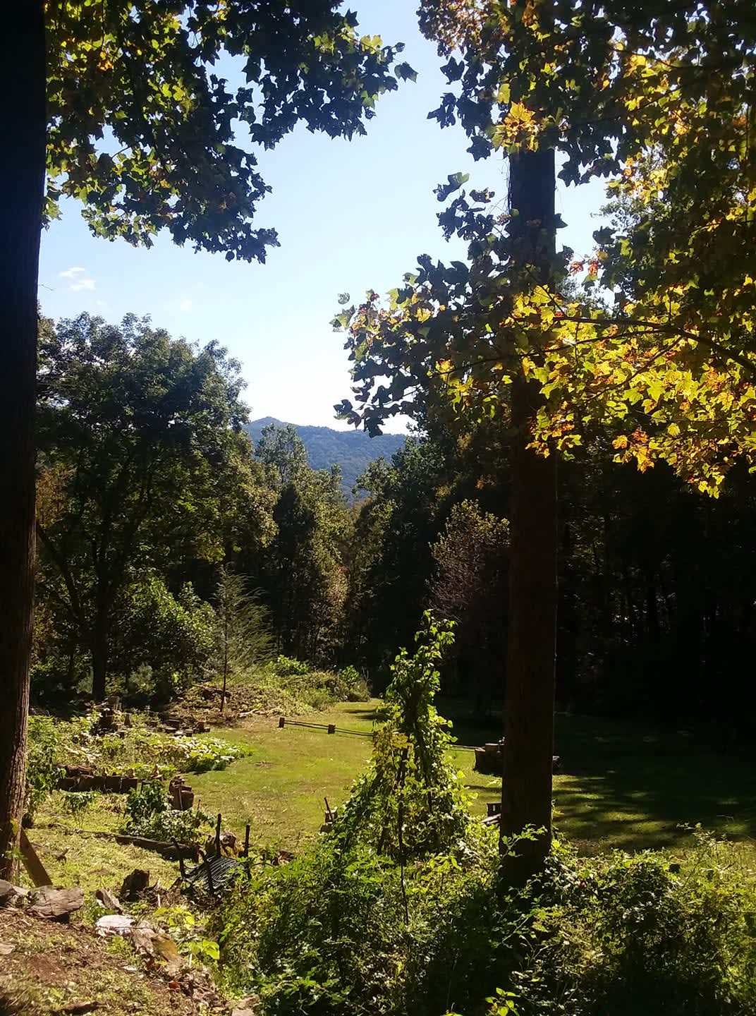 Mother's Grove Camping Hipcamp in , North Carolina