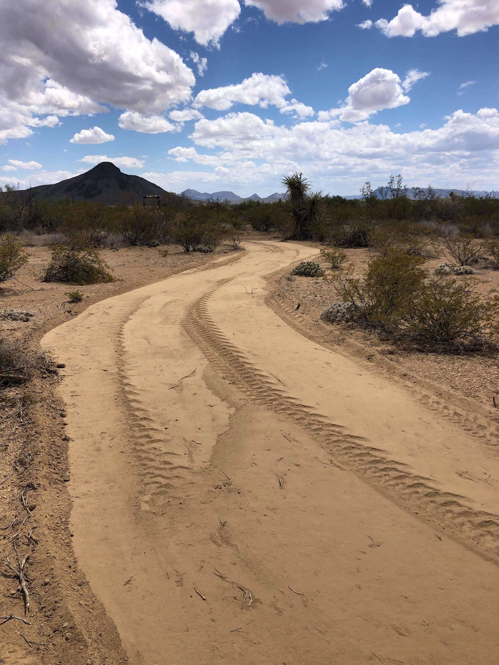 Tres Yuccas at Nine Point Mesa Hipcamp in , Texas