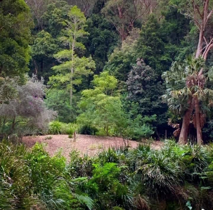 Otford Park by the Royal National Hipcamp in Otford, New South Wales