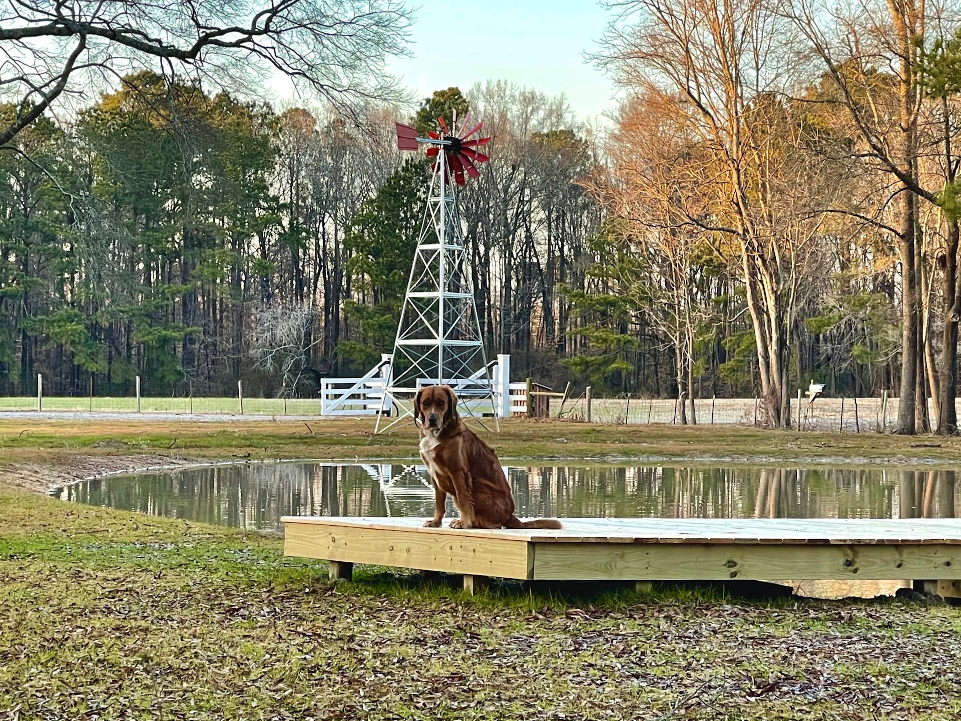 Wildflower Field Hipcamp in Linden, North Carolina