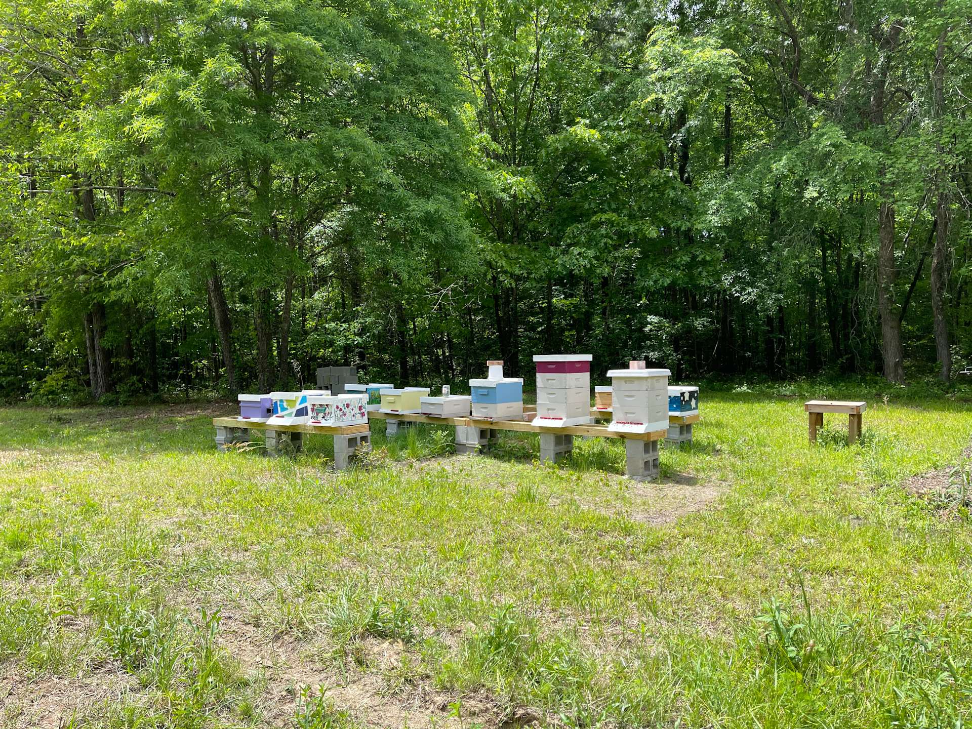 Wildflower Field Hipcamp in Linden, North Carolina
