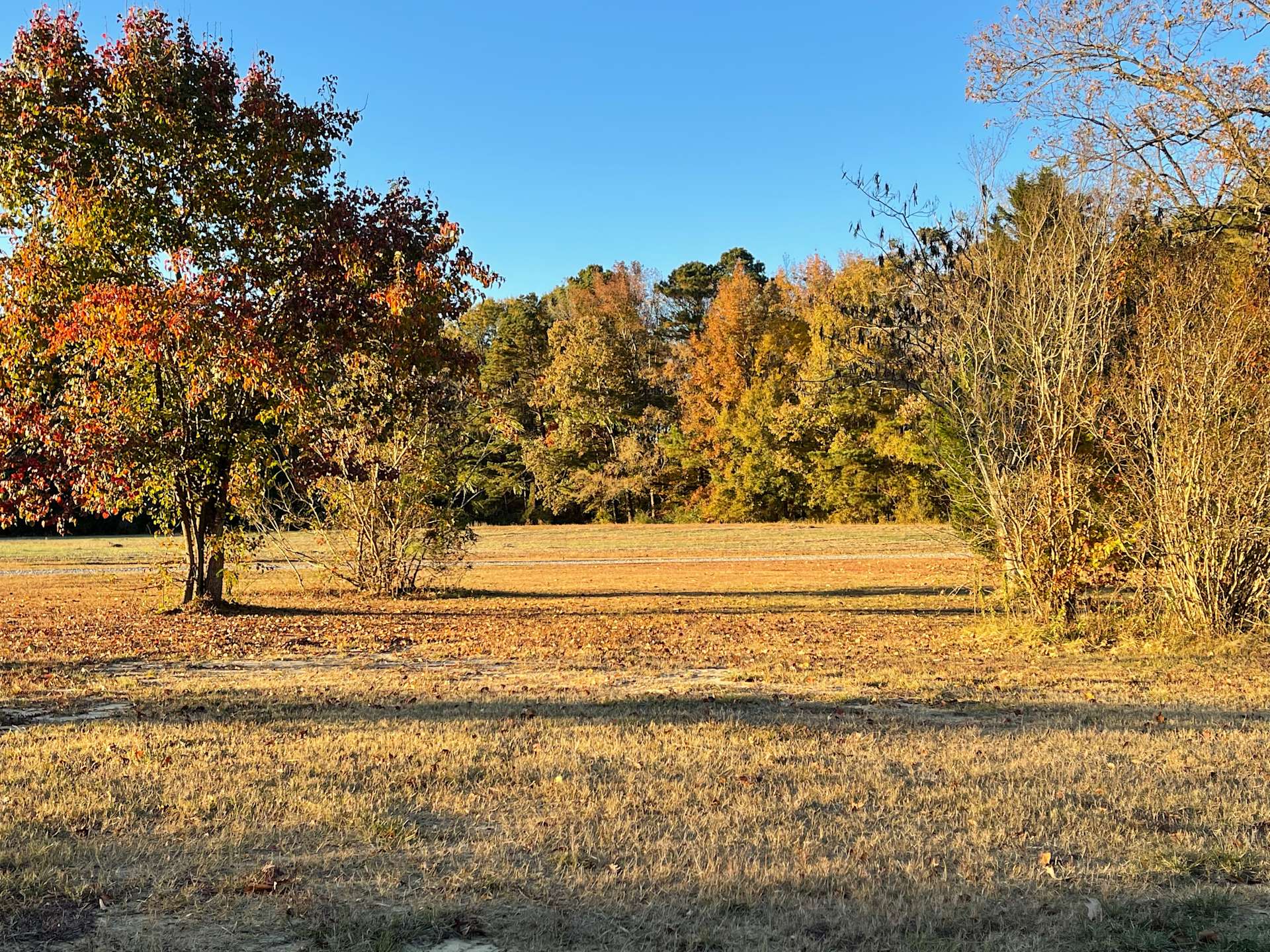 Wildflower Field Hipcamp in Linden, North Carolina