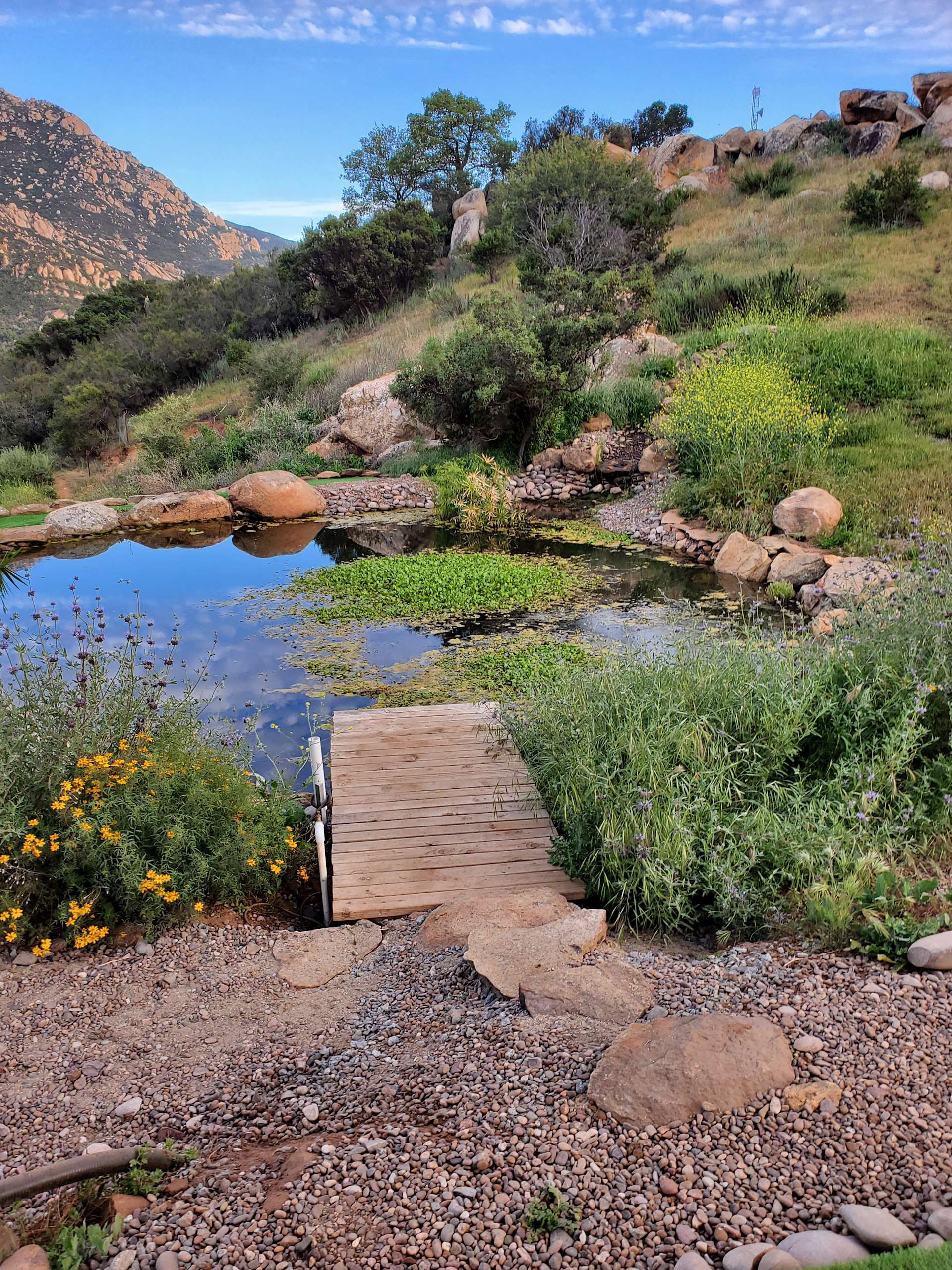 JB Mountain Hipcamp in Jamul, California