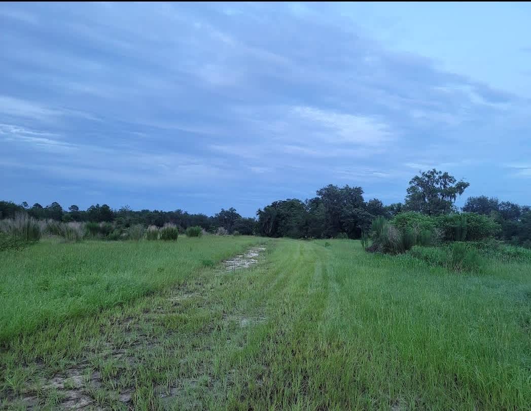 The Alencar Ranch Camping Sites Hipcamp in Welaka, Florida