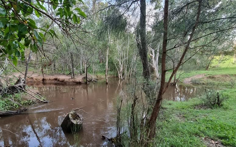 Nyima at Bauple Mountain Hipcamp in Bauple, Queensland