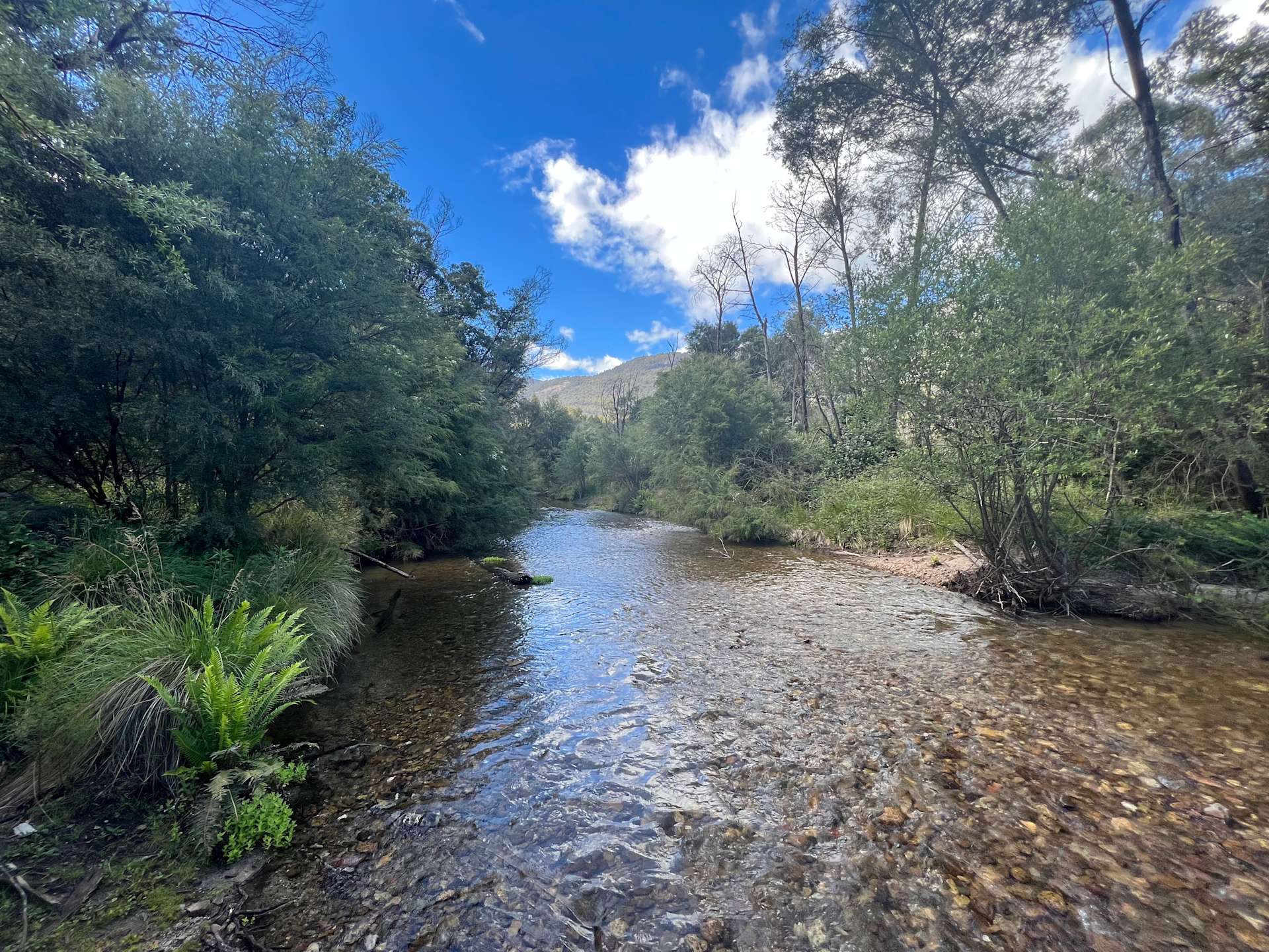 High Country Paradise Hipcamp in Myrtleford, Victoria
