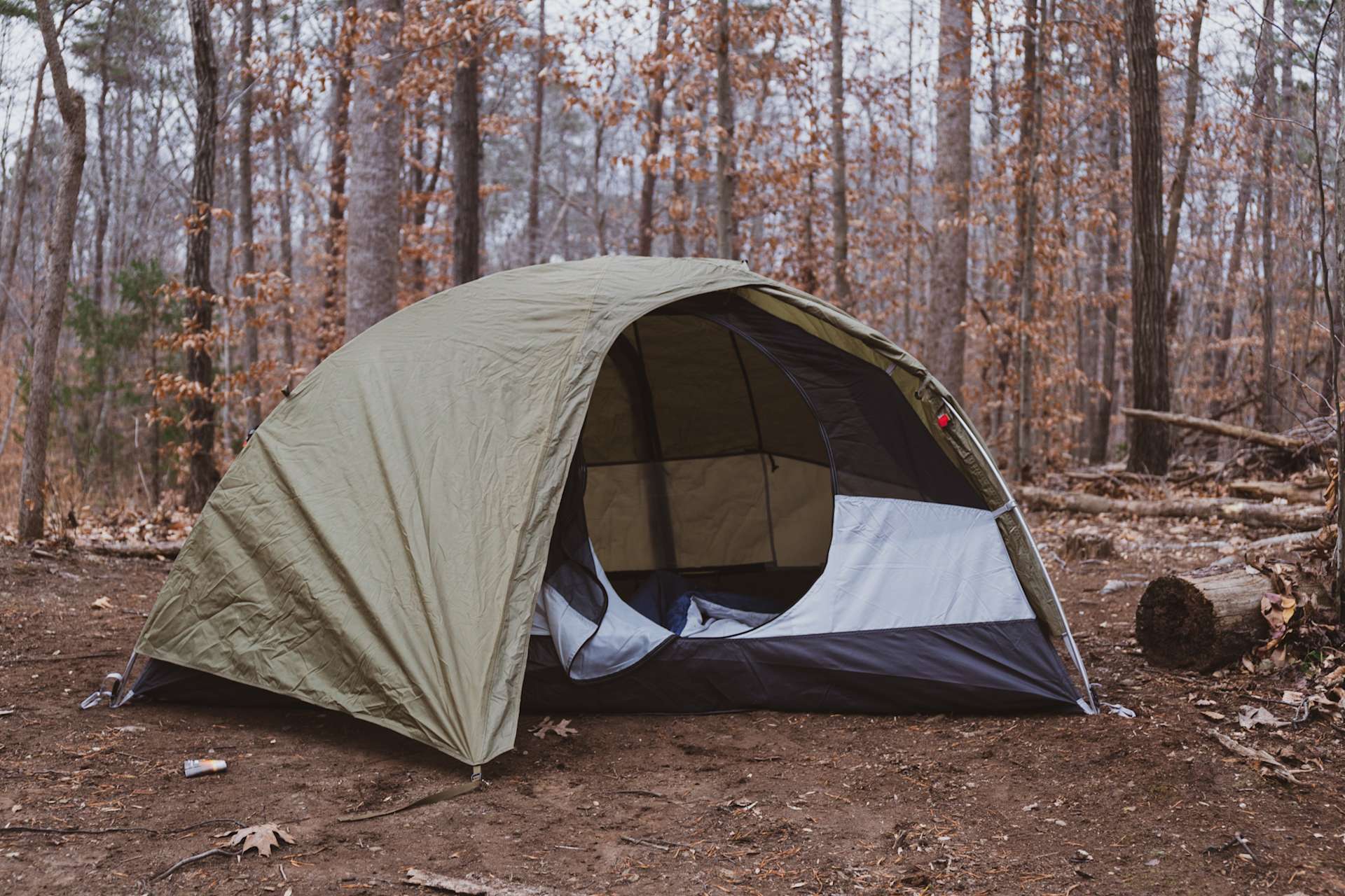 Harmony Tree Farm Hipcamp in Rixeyville, Virginia