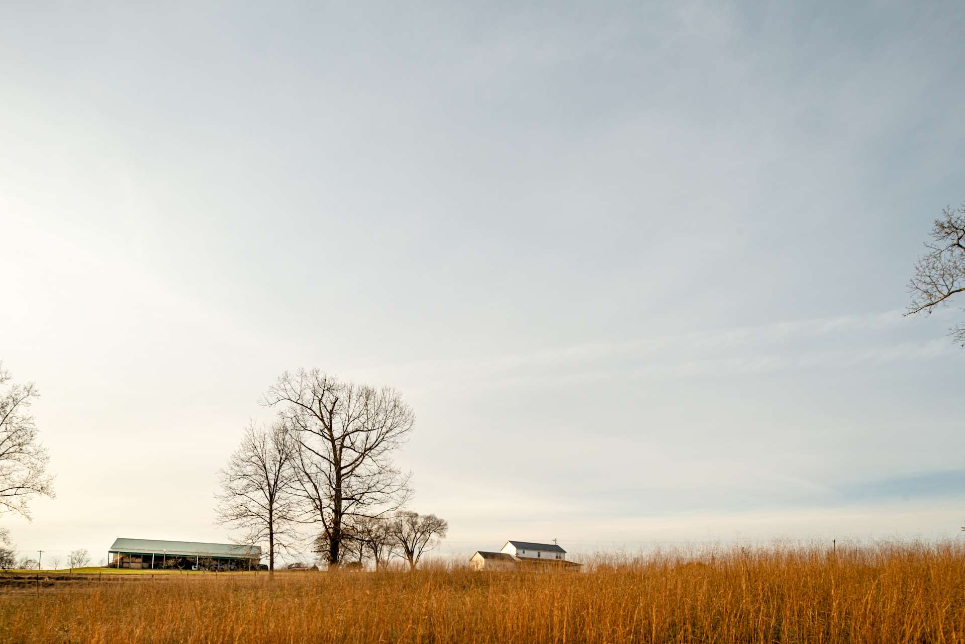 Legacy Acres Farm Hipcamp in Lawndale, North Carolina