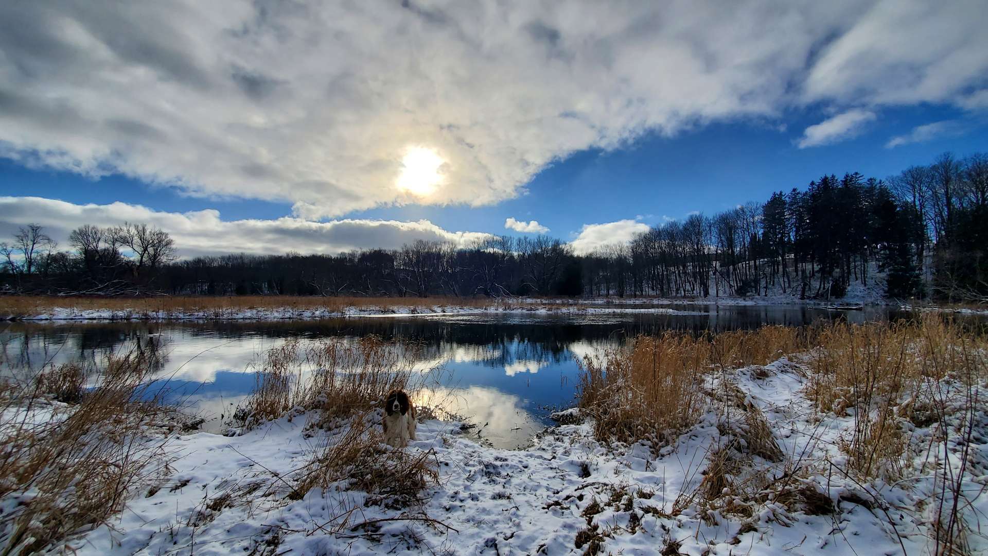 Yurt at Paisley Mill Hipcamp in Paisley, Ontario