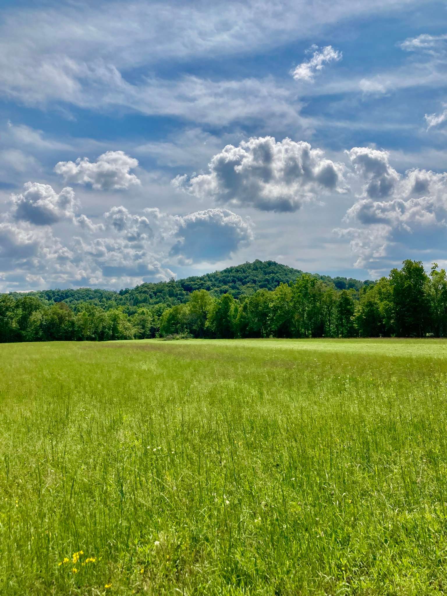 Copper Creek Campground Hipcamp in Crab Orchard, Kentucky