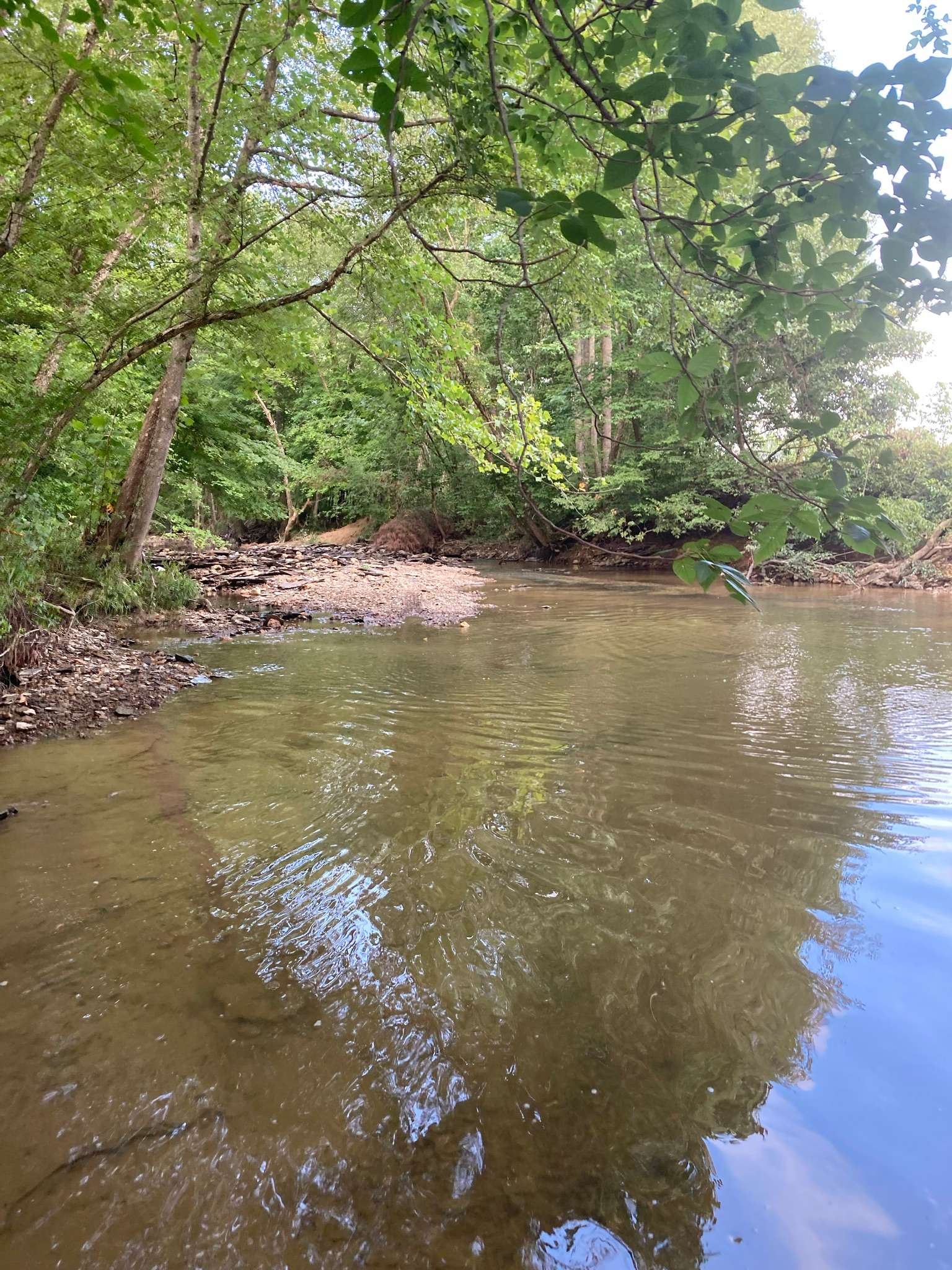 Copper Creek Campground Hipcamp In Crab Orchard Kentucky