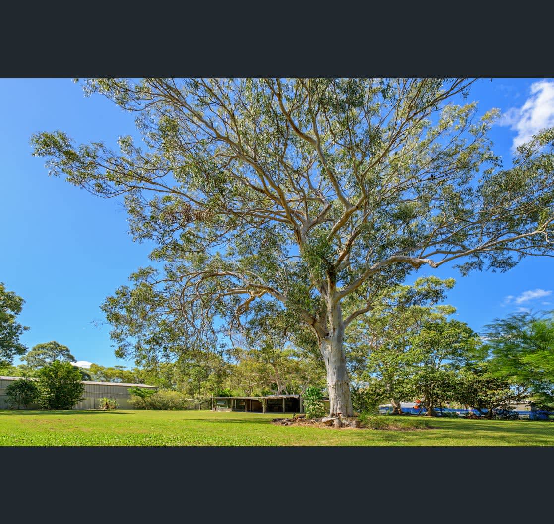Cooloola Cove Hideaway Hipcamp in Cooloola Village, Queensland