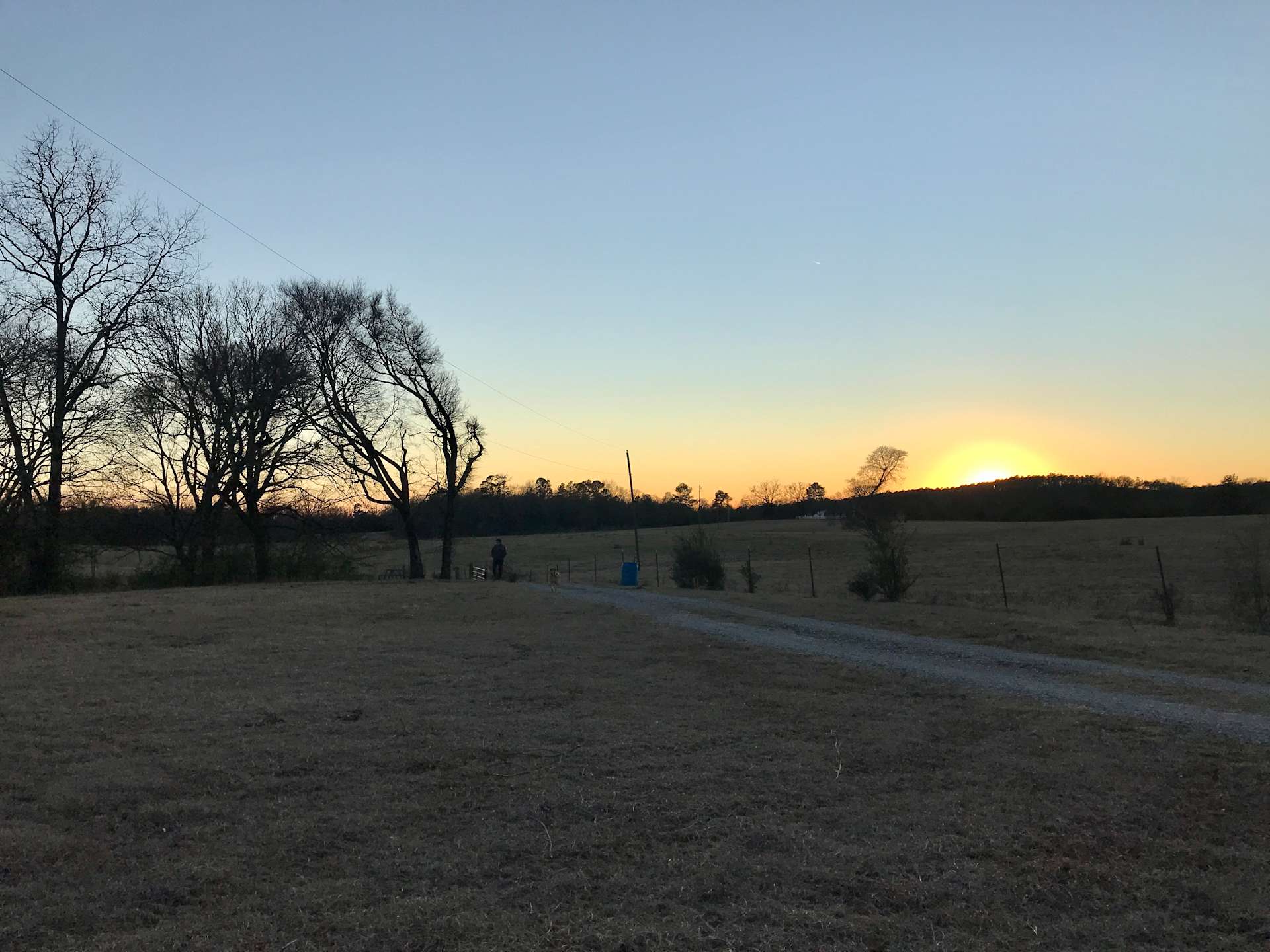 Royal Berry Farm Hipcamp in Royal, Arkansas