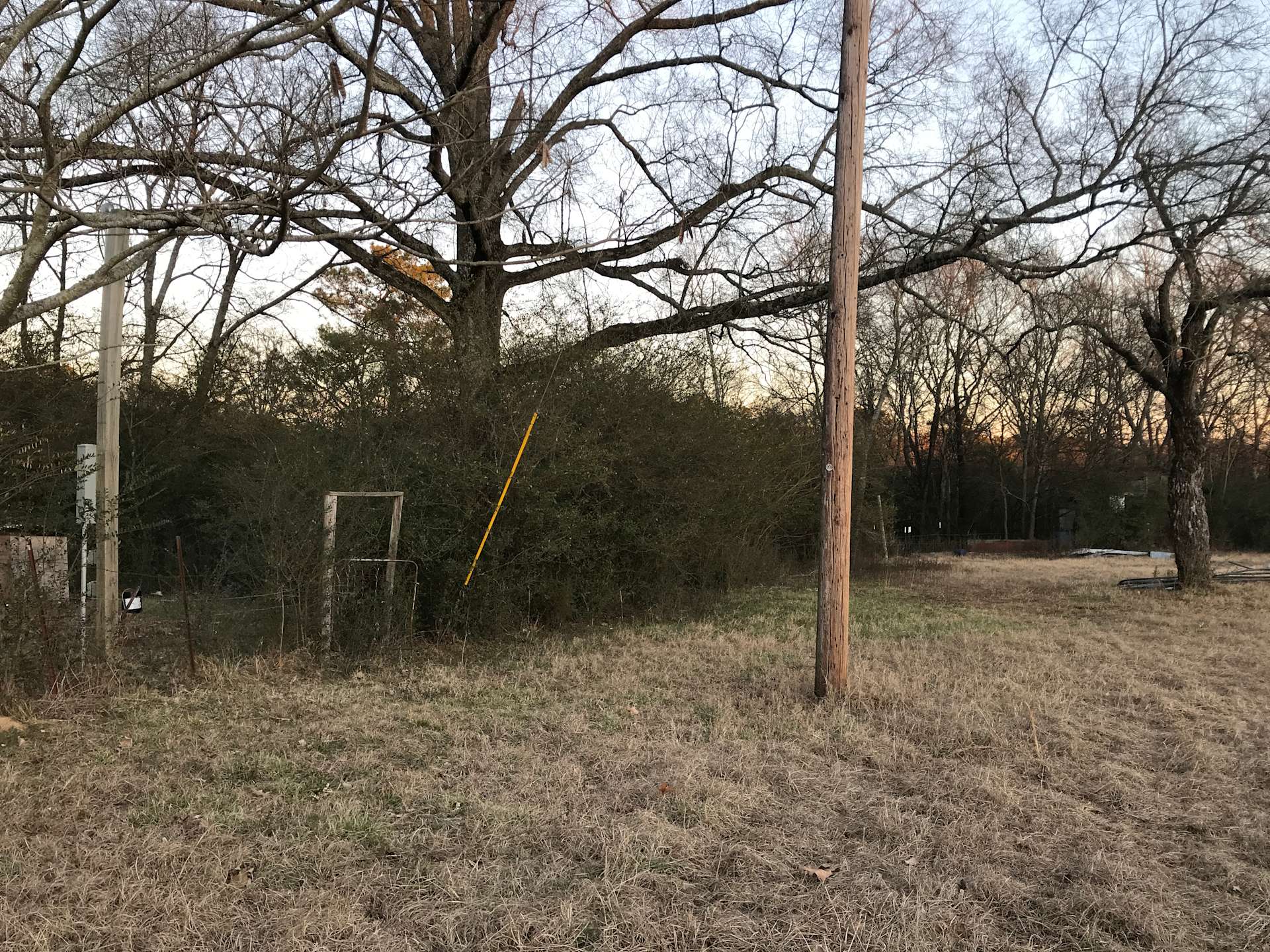 Royal Berry Farm Hipcamp in Royal, Arkansas