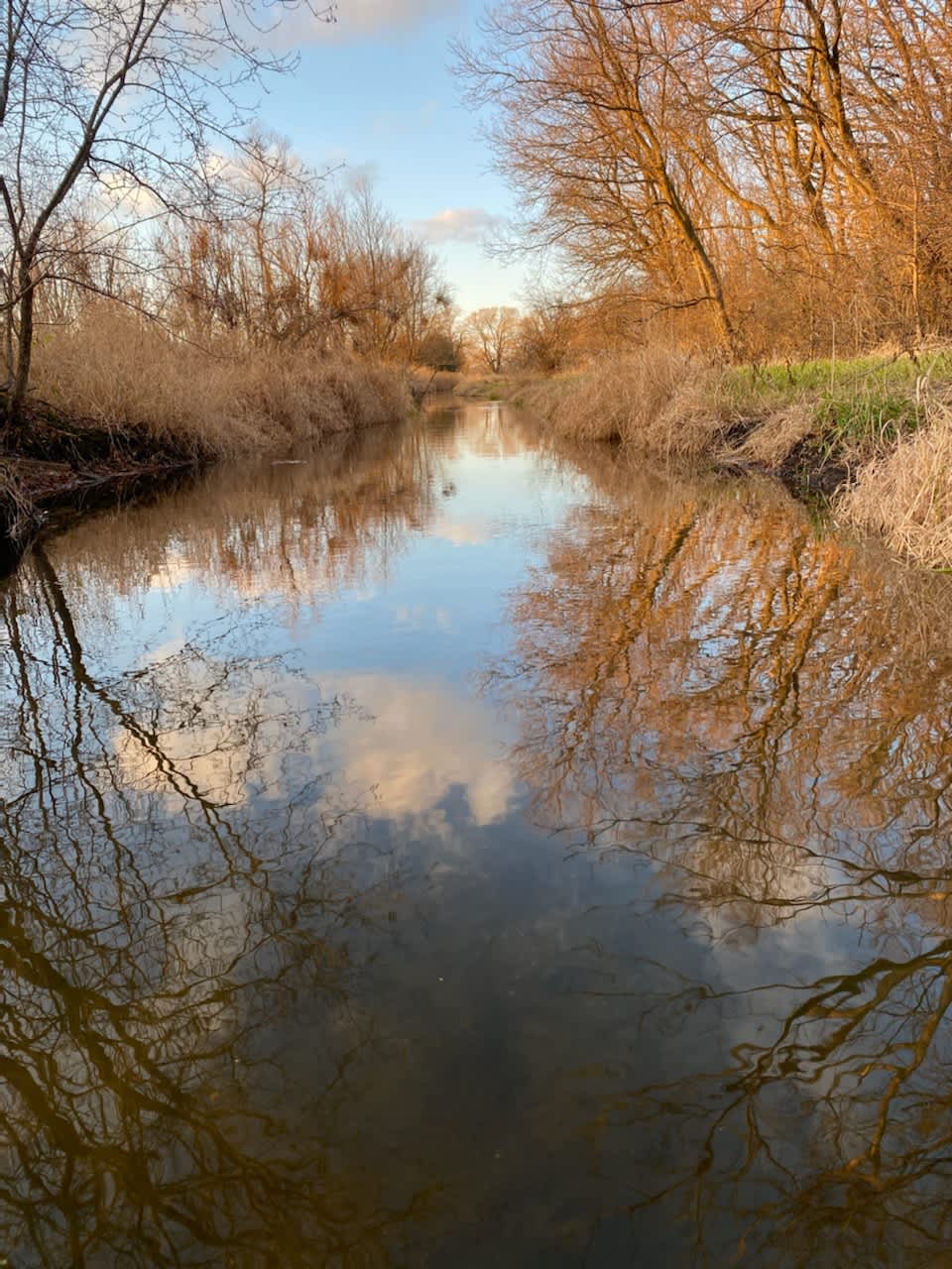The Aloha Ranch - Hipcamp in Harvard, Illinois