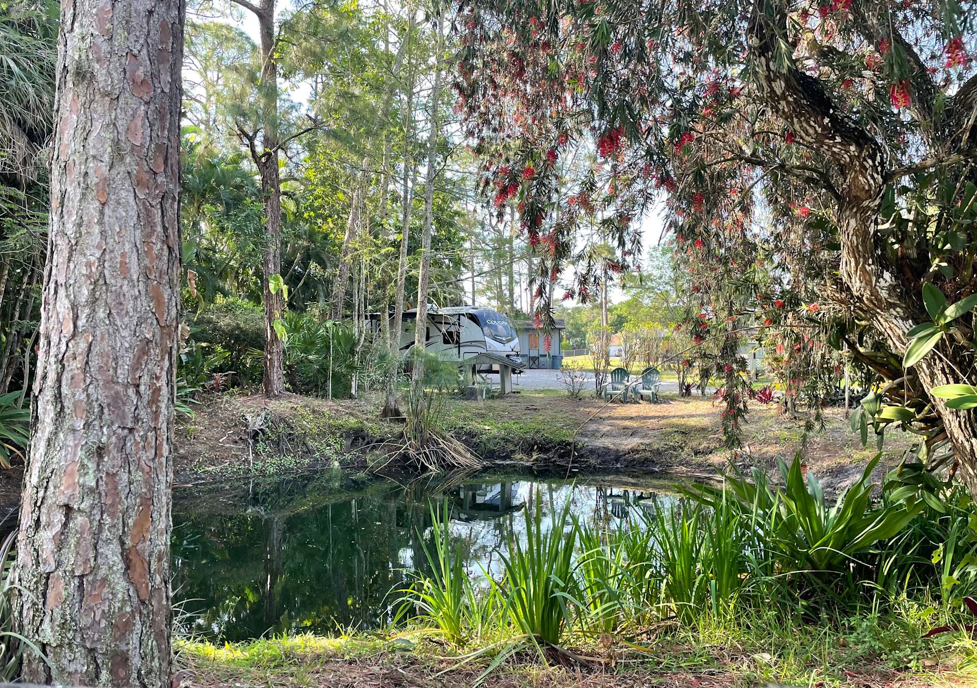 Flying Frog Ranch - Hipcamp in West Palm Beach, Florida