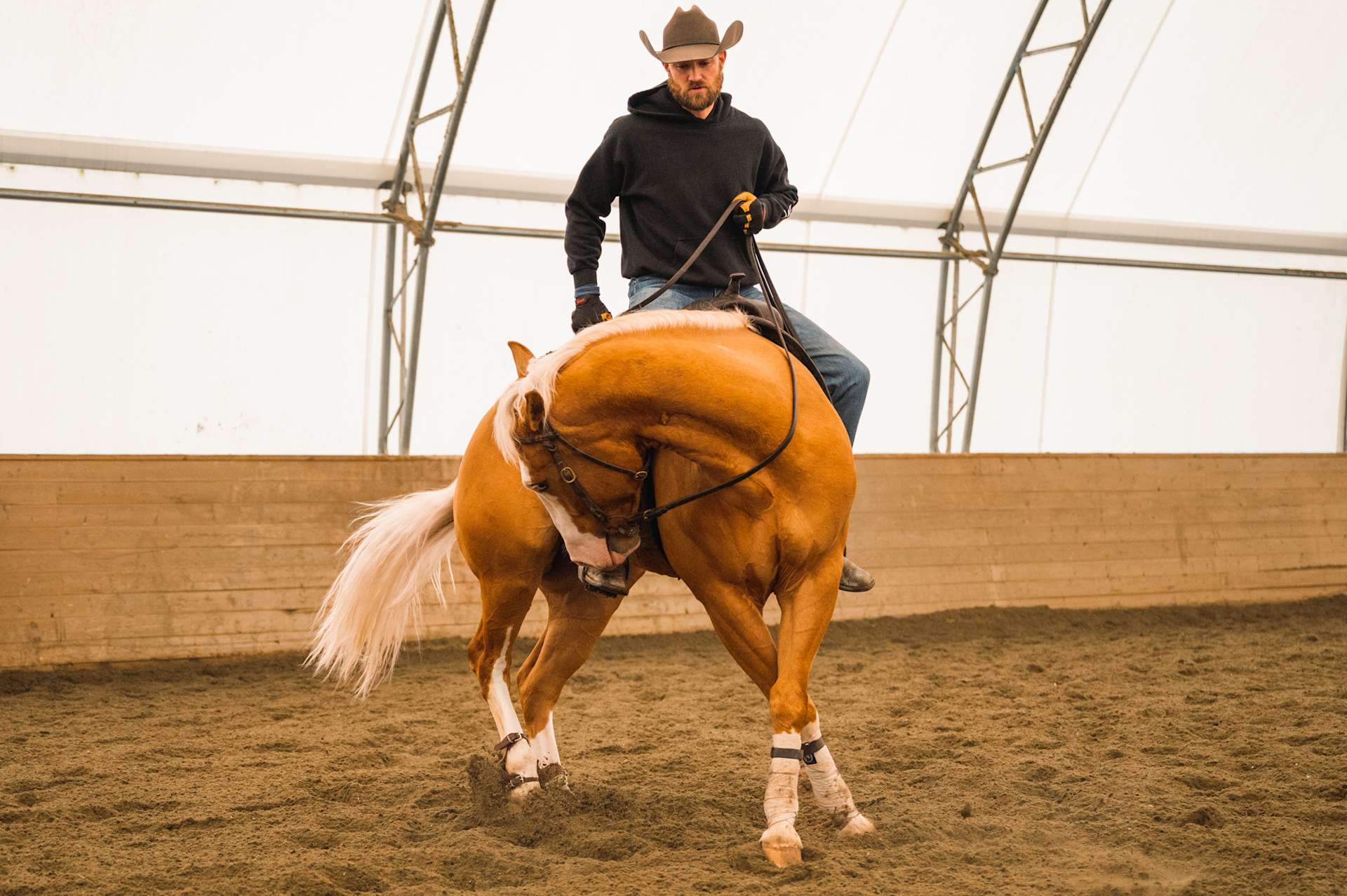 Jim Greendyk Performance Horses Hipcamp in Chilliwack, British Columbia