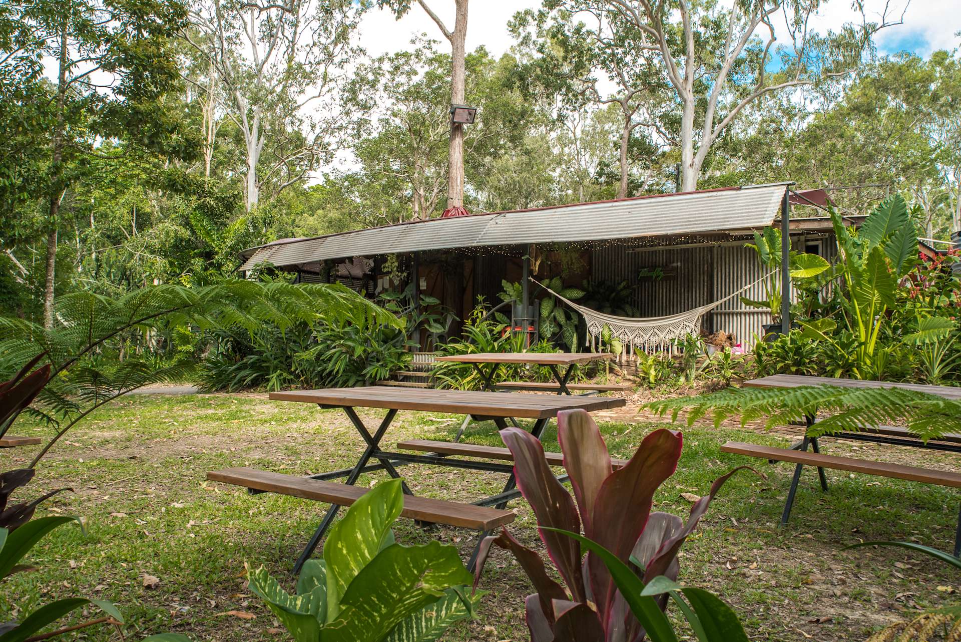 The Billabong Kuranda - Hipcamp in , Queensland