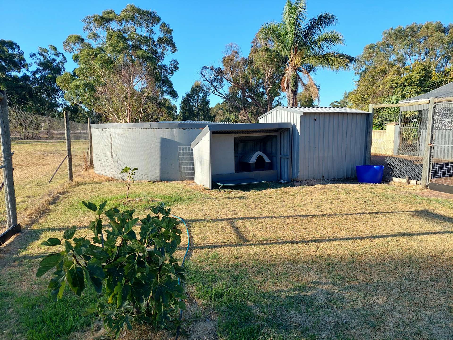 Busselton Semi Rural Convenienc Hipcamp in Busselton, Western Australia