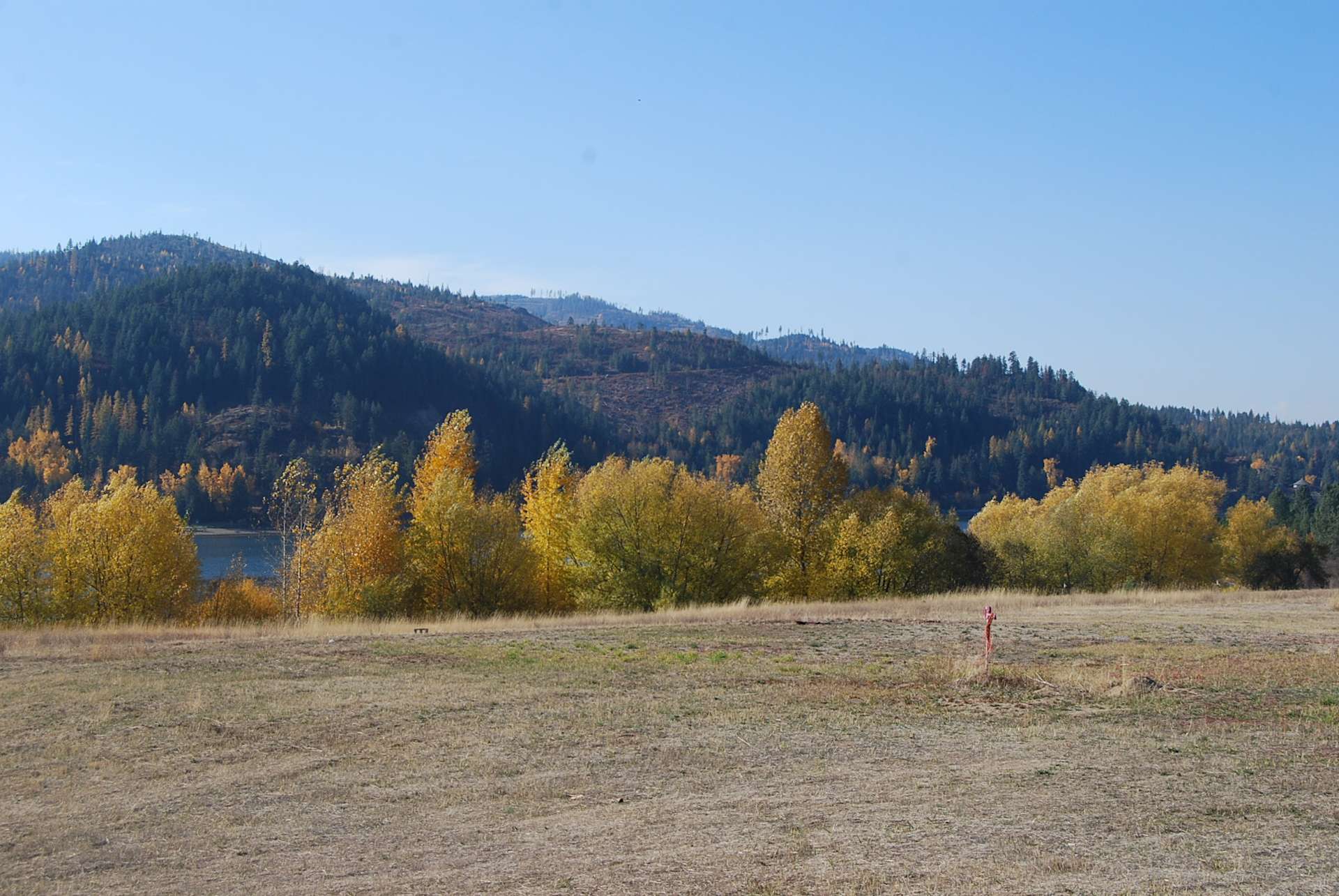 Stephanie D.’s Land Hipcamp in Priest River, Idaho