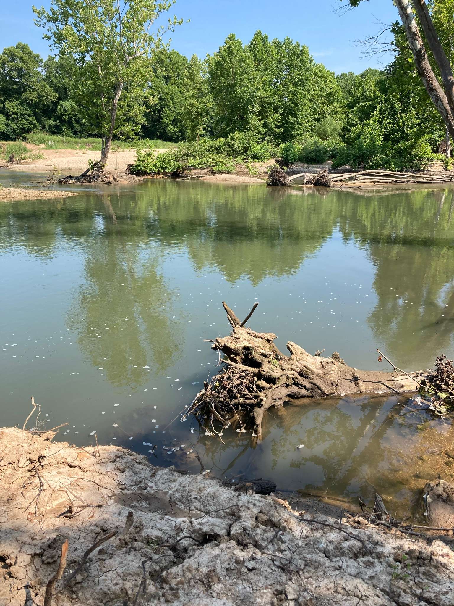 Rootwad RV Park and Campground Hipcamp in Macks Creek, Missouri