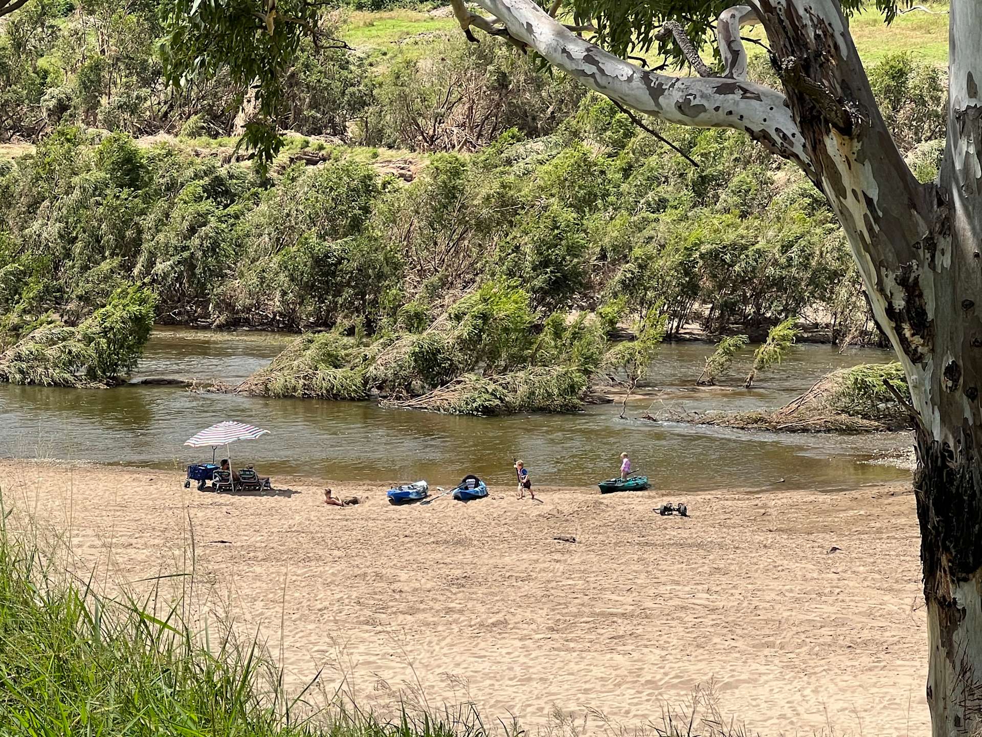 The Willow Sanctuary Hipcamp in Gregors Creek, Queensland