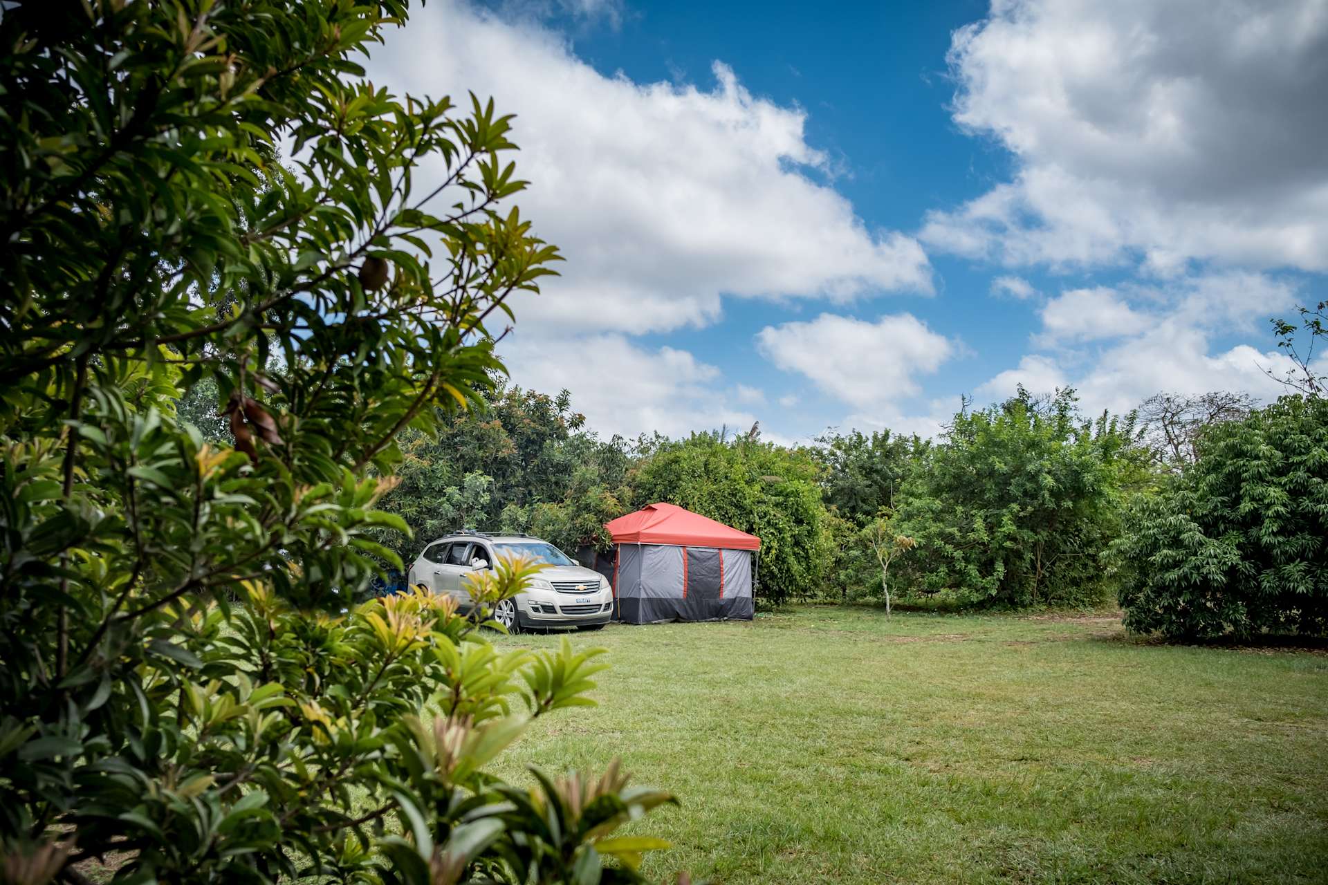 Redlands Acre Campground Hipcamp in Homestead, Florida