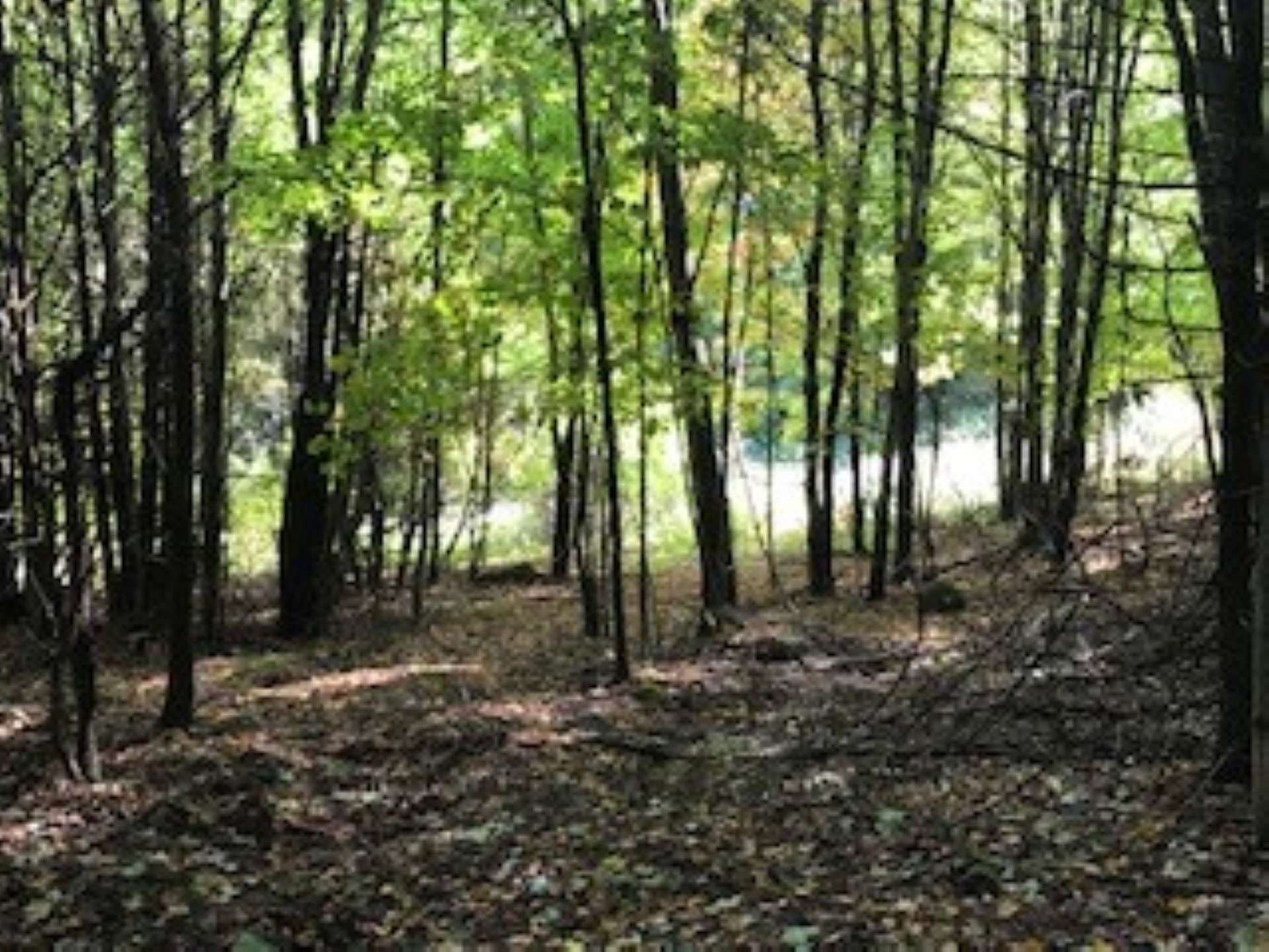 Carmi Campsite Hipcamp in Franklin, Vermont