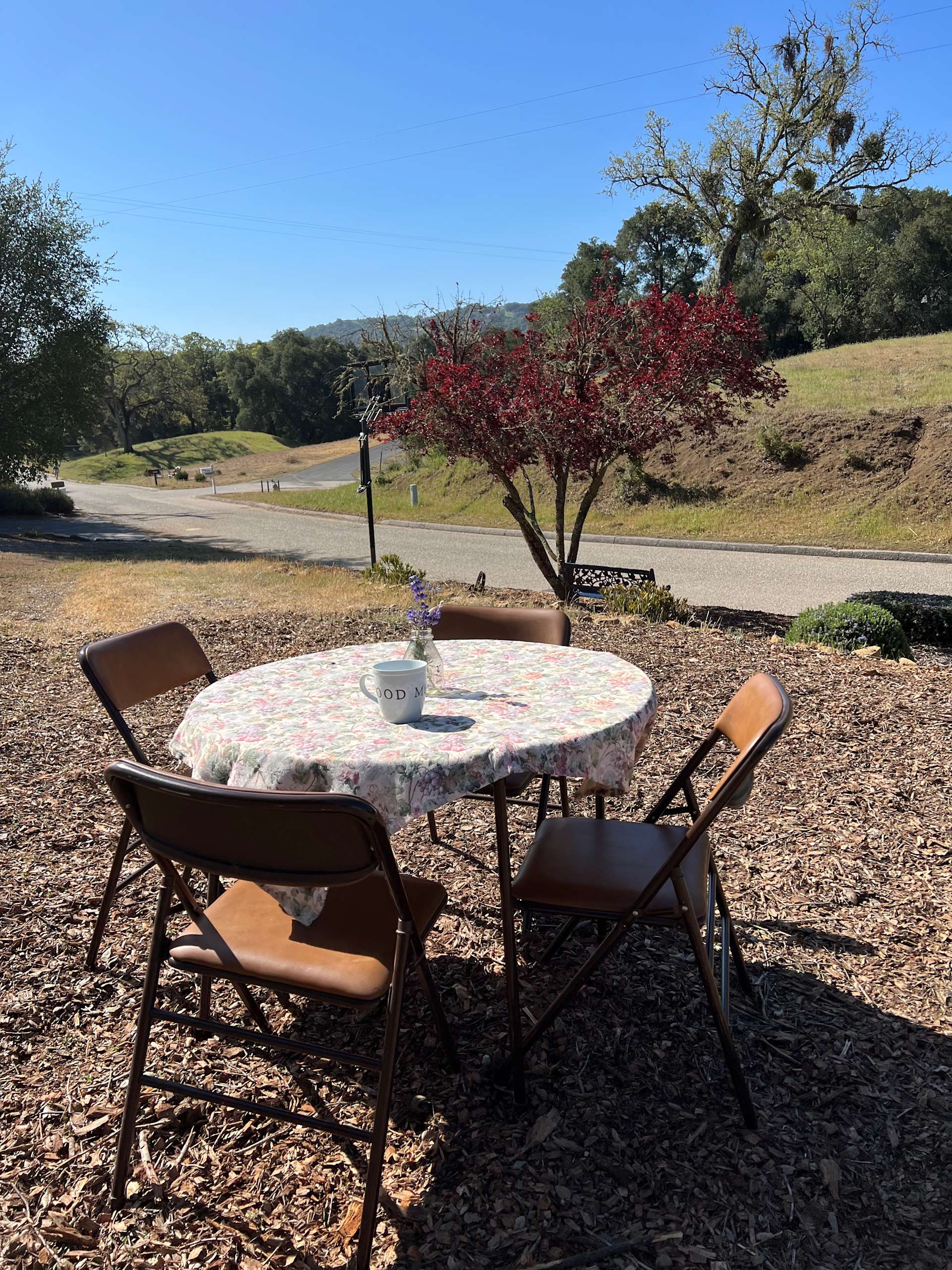 Courtney B.’s Land Hipcamp in Atascadero, California