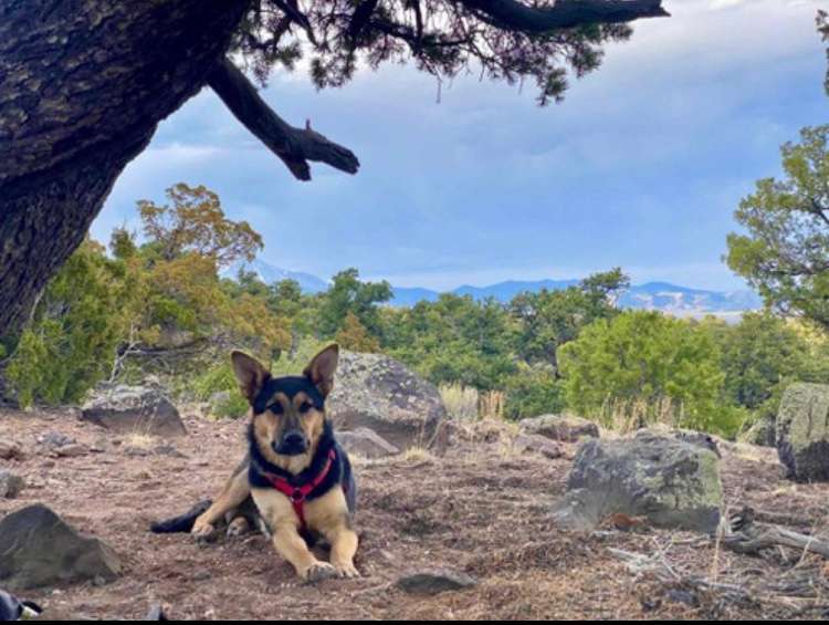 Campe Diem! Hipcamp in , Colorado