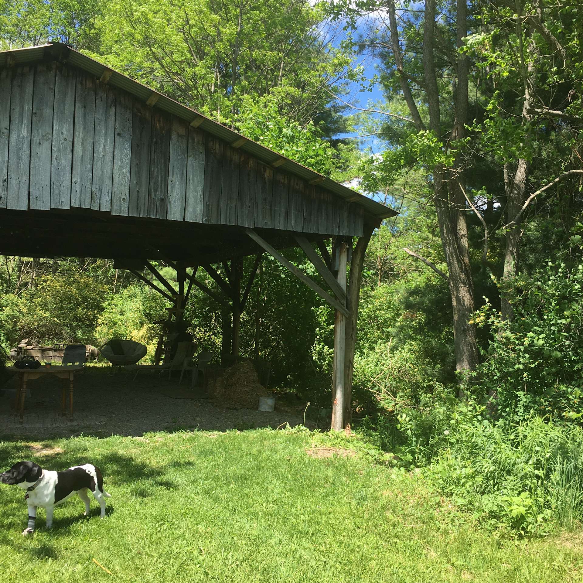 Starlight Camping Hipcamp in Brooktondale, New York