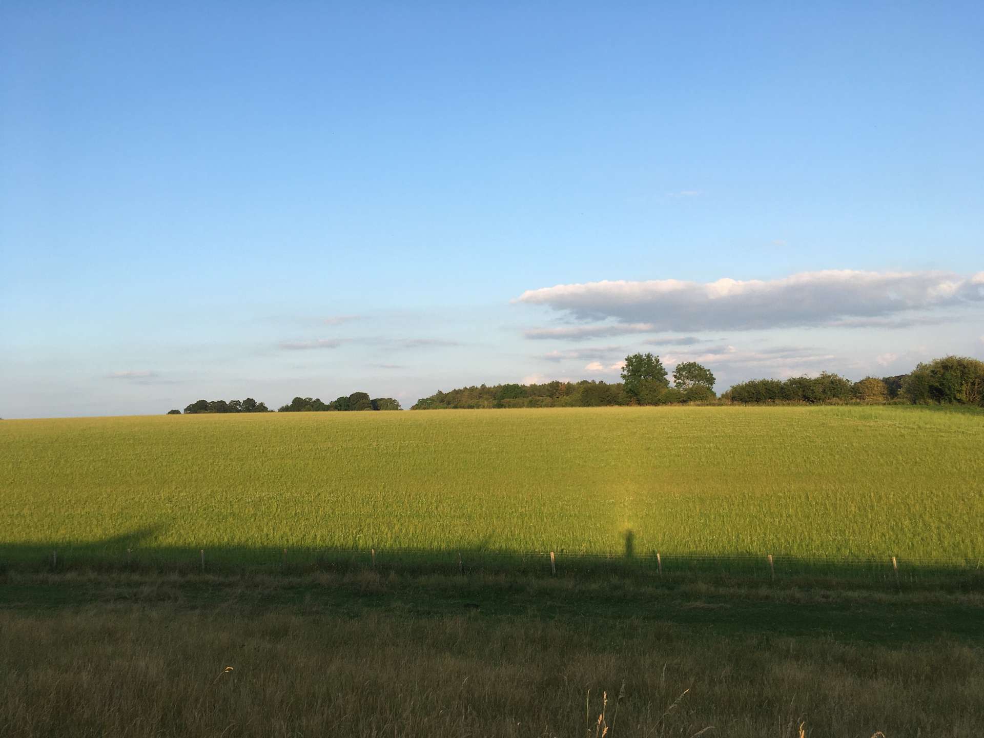 Wild Camping in the Cotswolds Hipcamp in Aldsworth, England