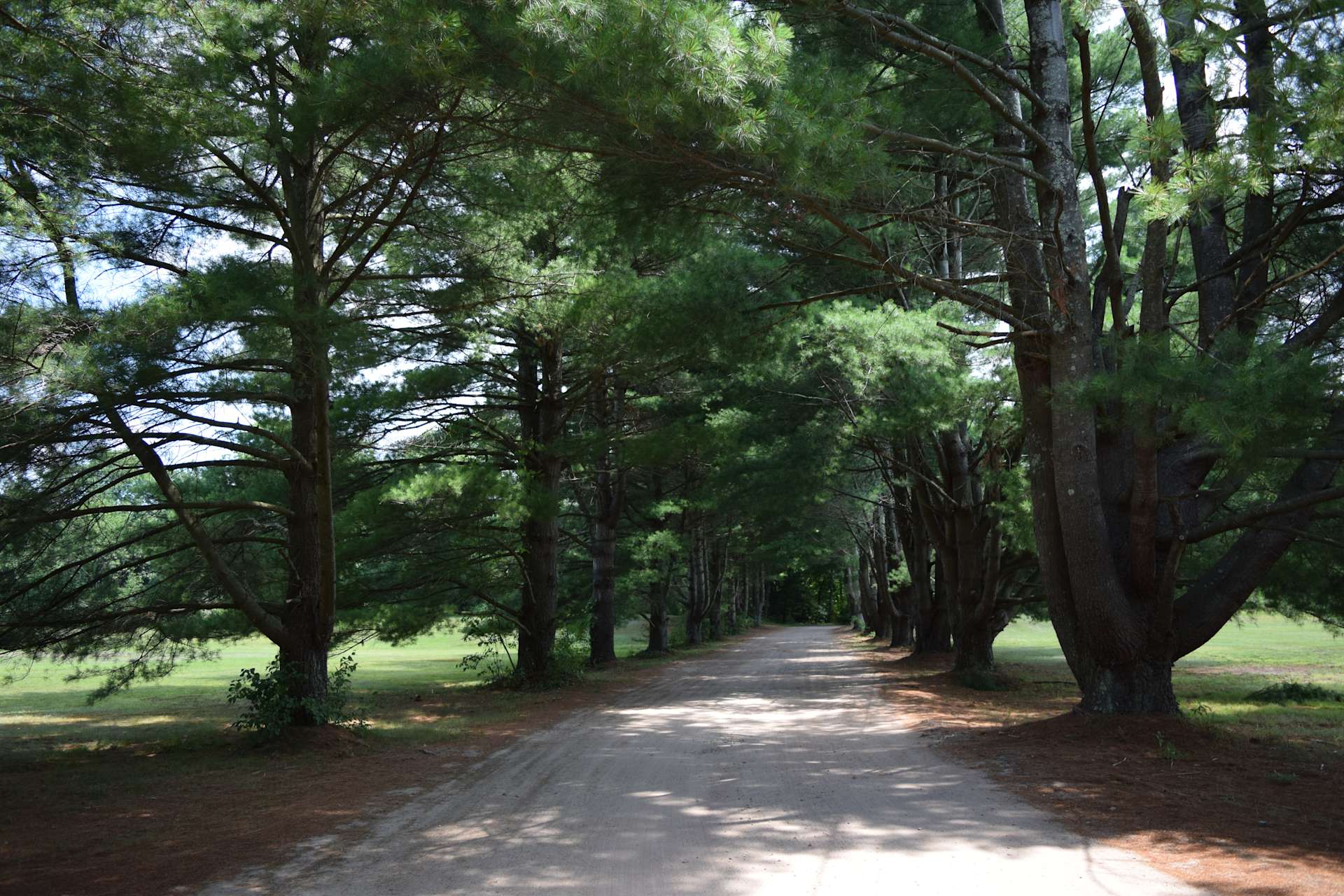 The Quarry Campground Hipcamp in Tolland, Connecticut
