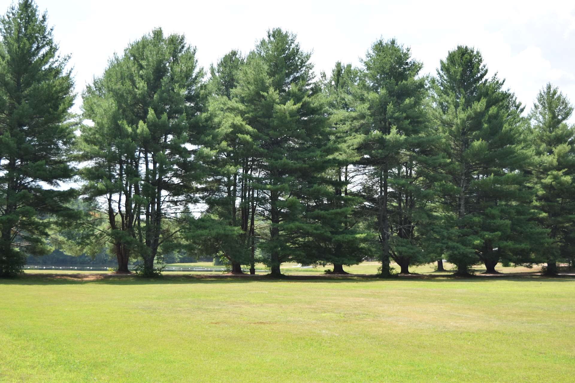 The Quarry Campground Hipcamp in Tolland, Connecticut