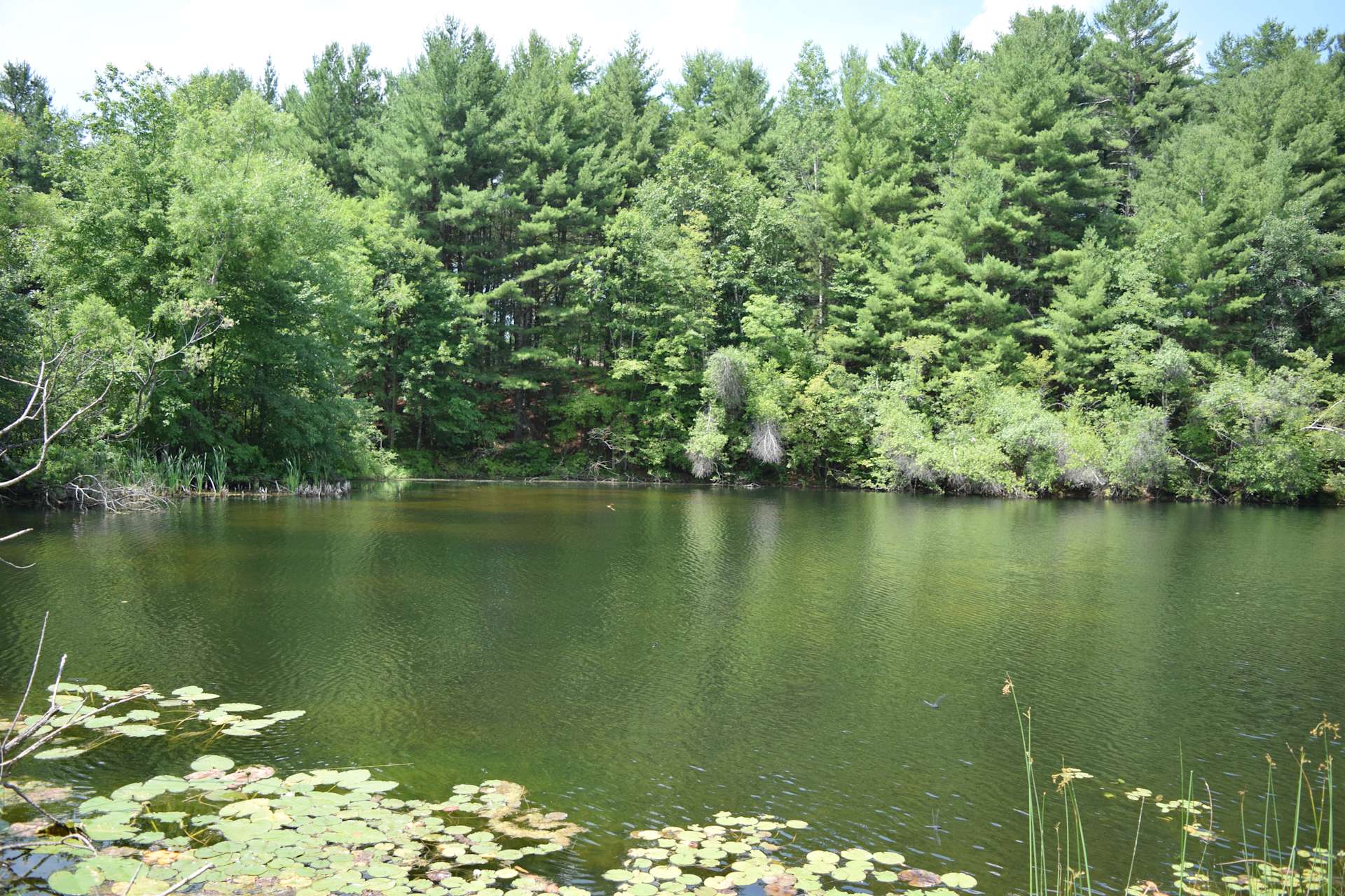 The Quarry Campground Hipcamp in Tolland, Connecticut