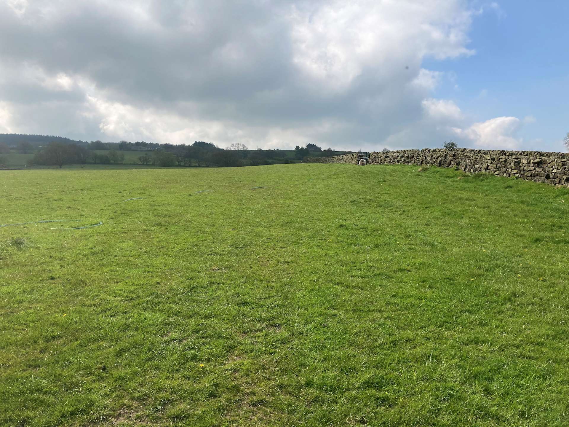 Scow Hall Farm - Hipcamp in North Yorkshire, England