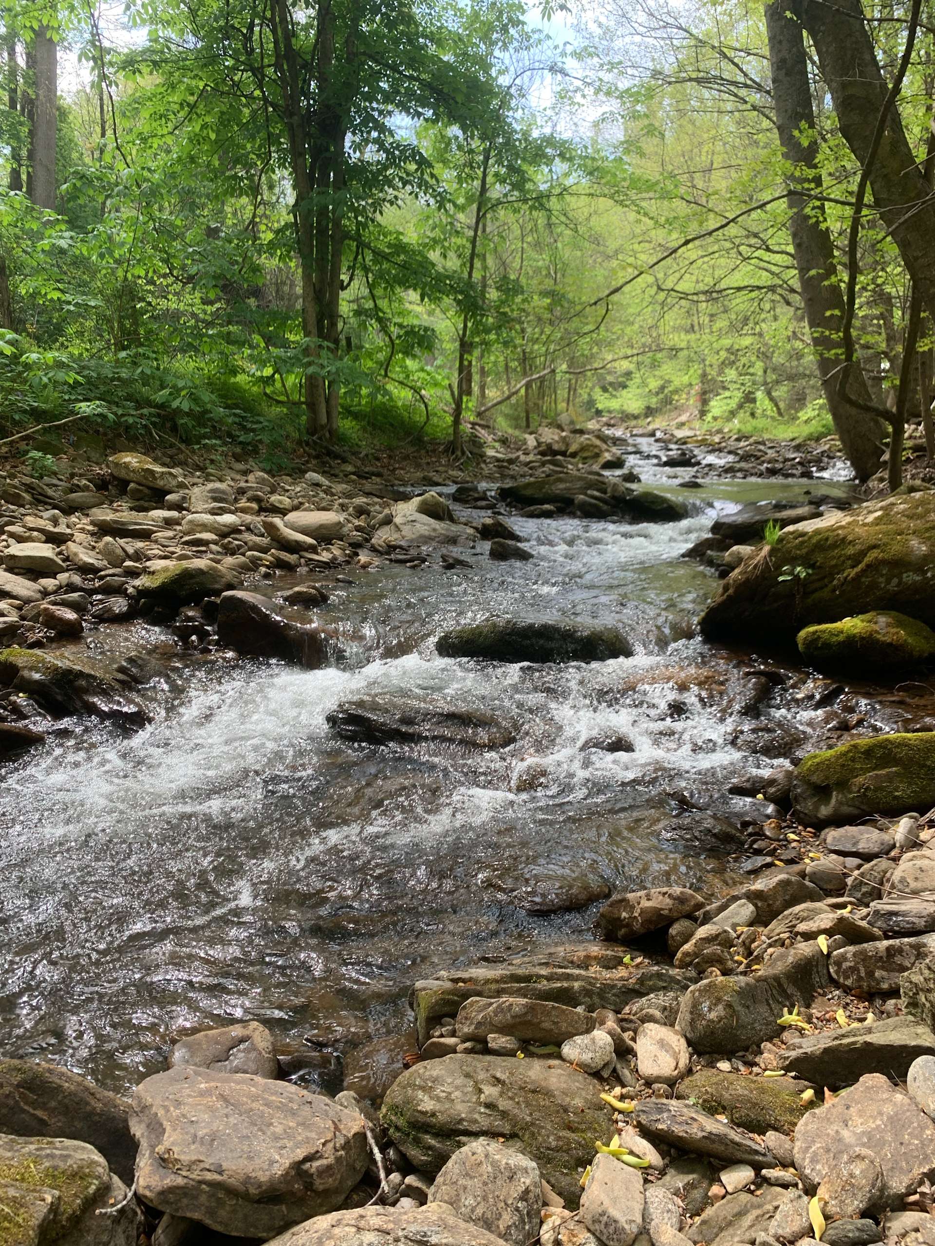 Reems Creek Retreat Hipcamp in Weaverville, North Carolina