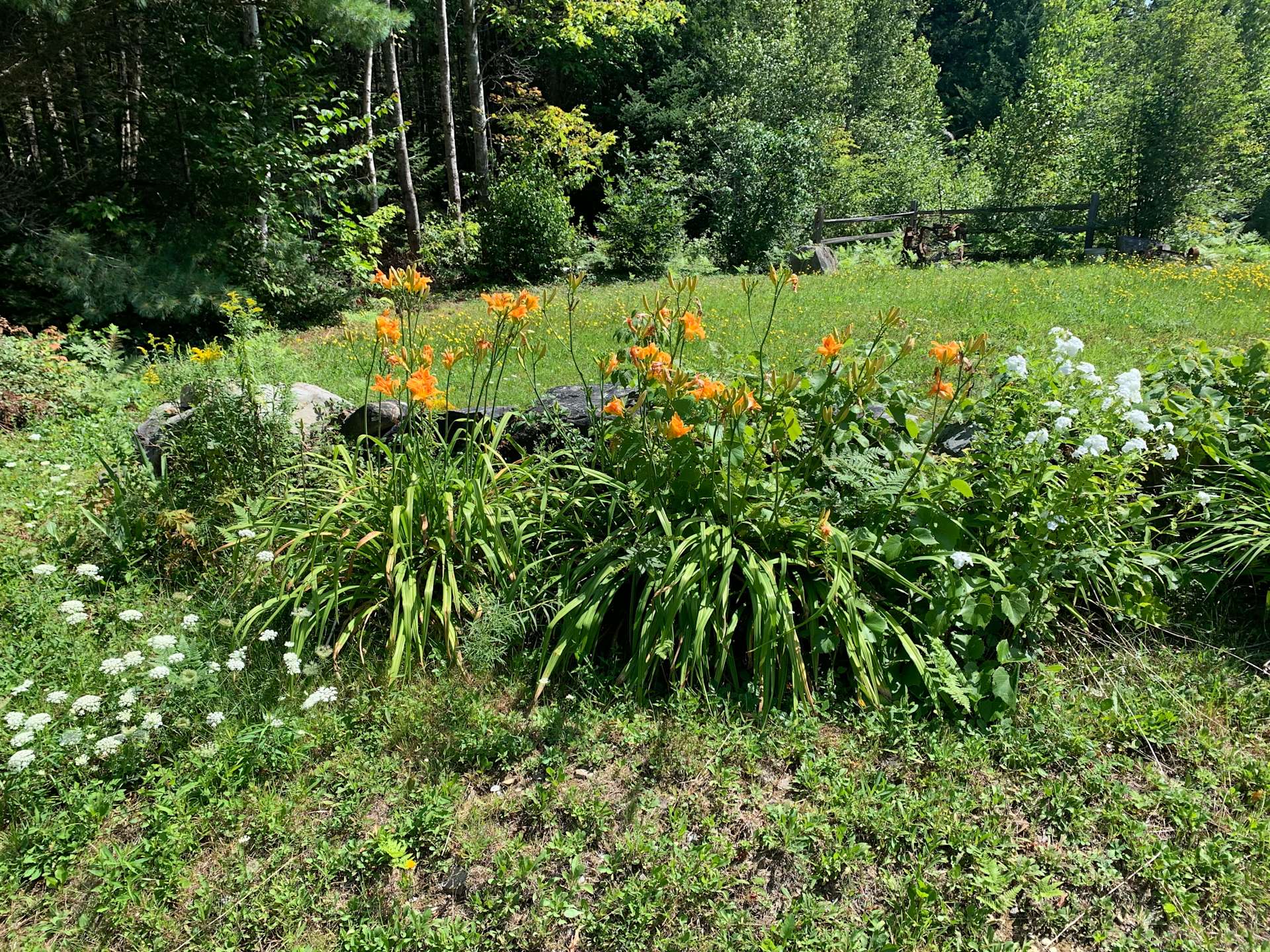Stony Ridge Hipcamp in Dover Foxcroft, Maine
