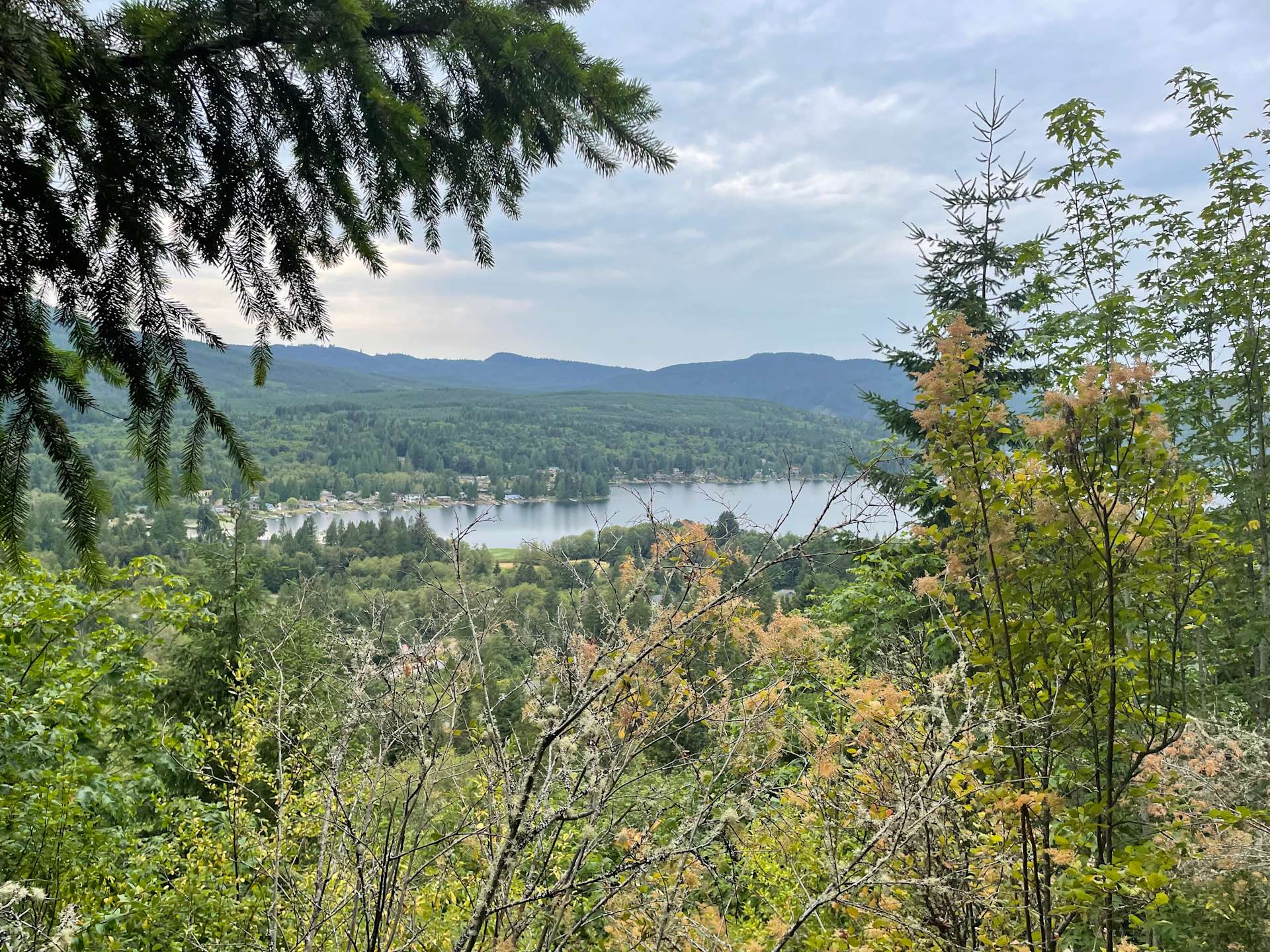 High Bluff Hipcamp in Bellingham, Washington