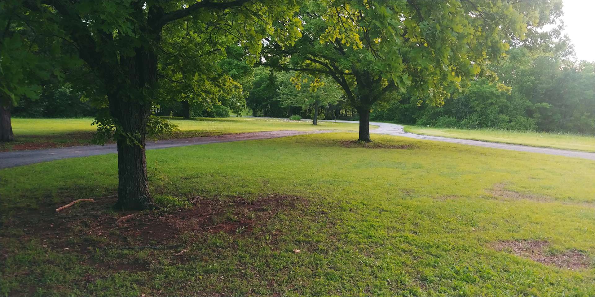 Honey Fields Hipcamp in Honey Grove, Texas