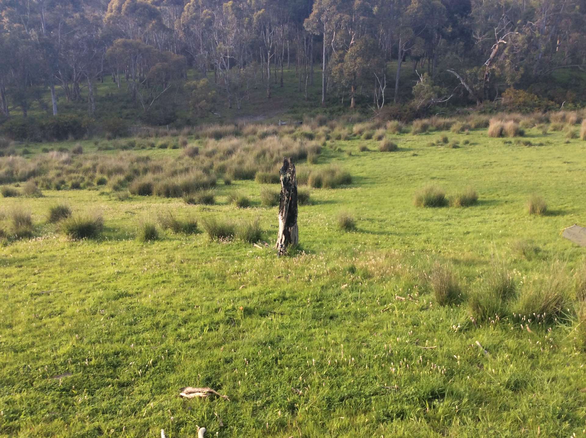 Kookaburra Cottage Farm - Hipcamp in Parawa, South Australia