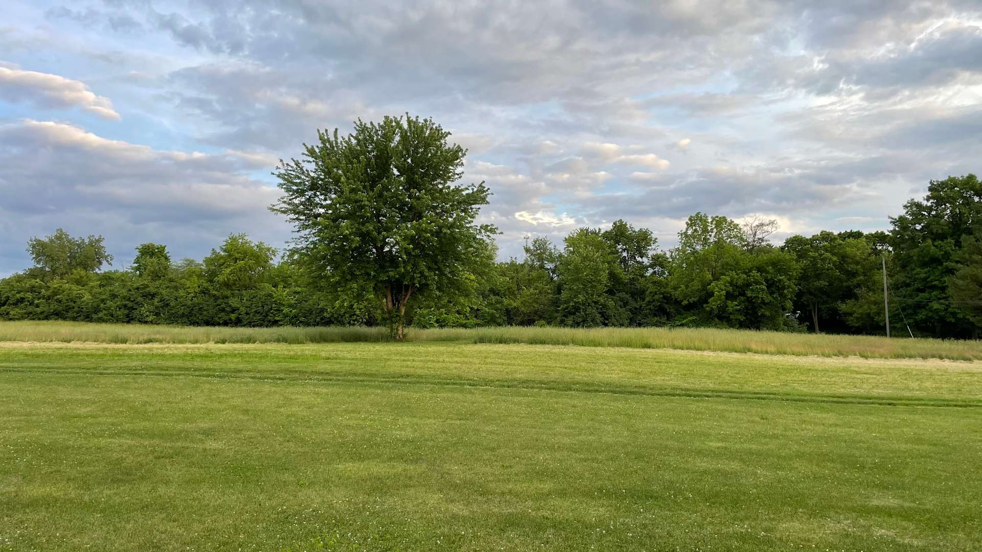 Shade Tree Hipcamp in Donnelsville, Ohio