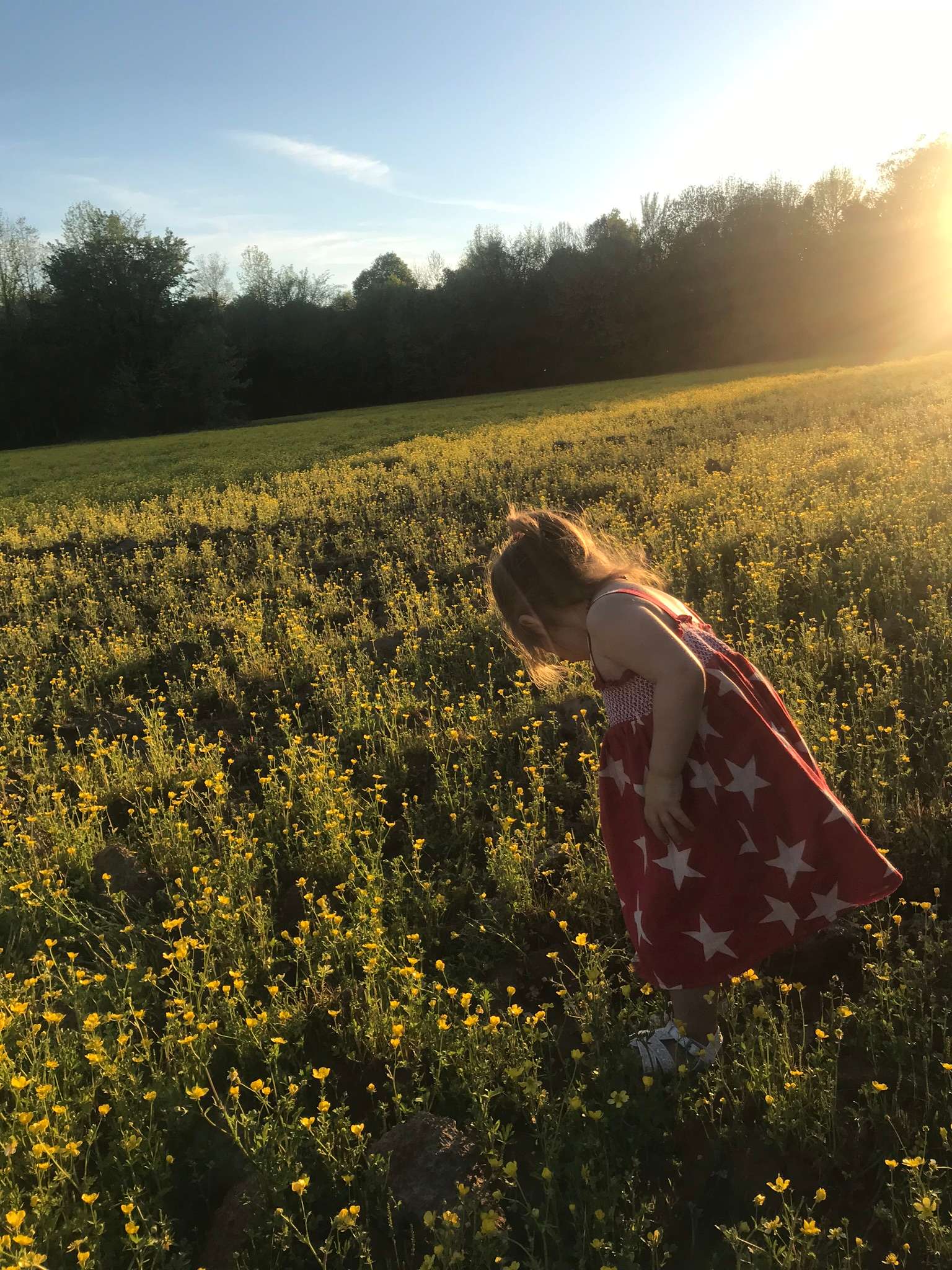 Faulkner Farms Hipcamp in Oak Grove Heights, Arkansas