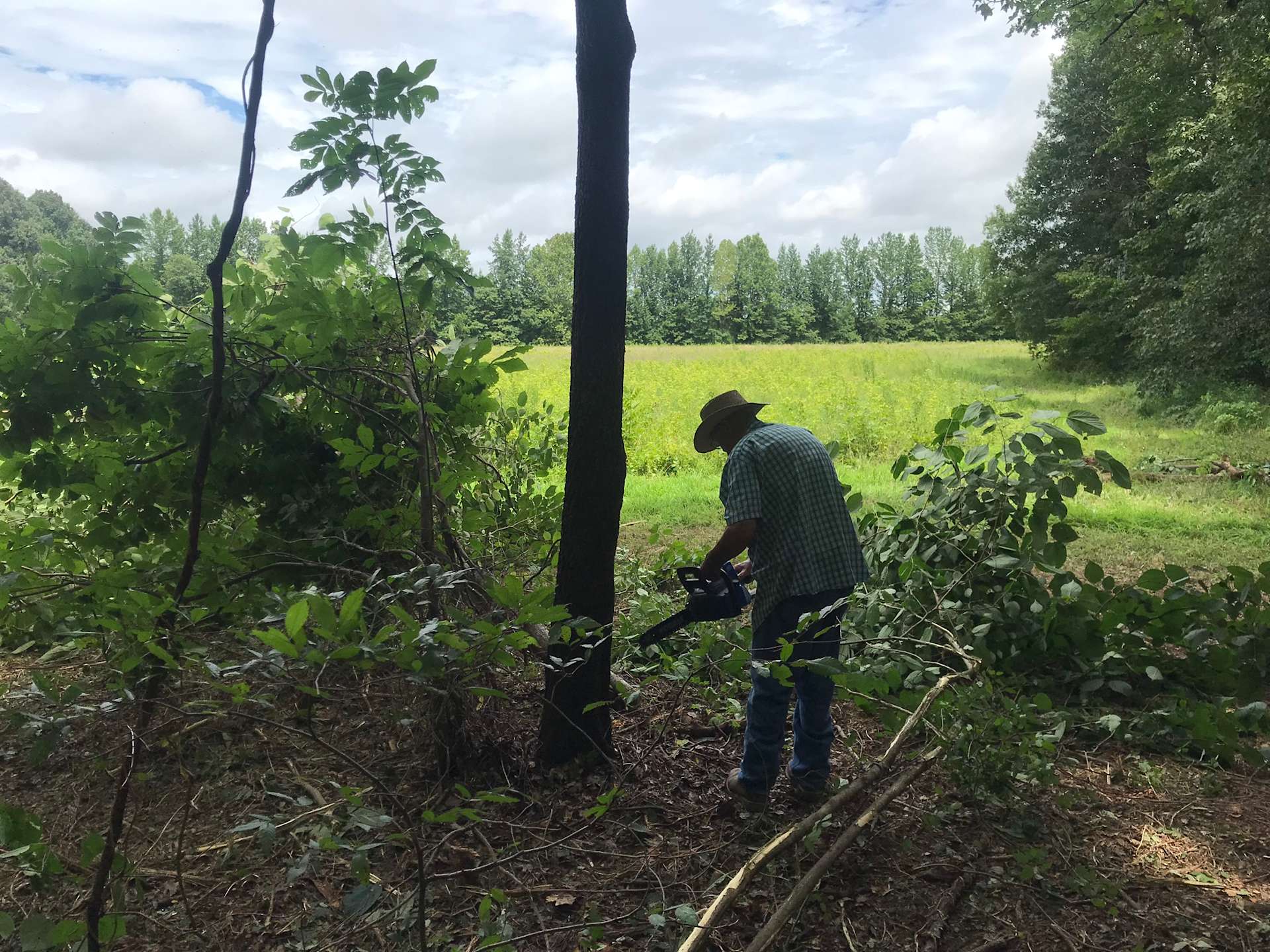 Faulkner Farms Hipcamp in Oak Grove Heights, Arkansas