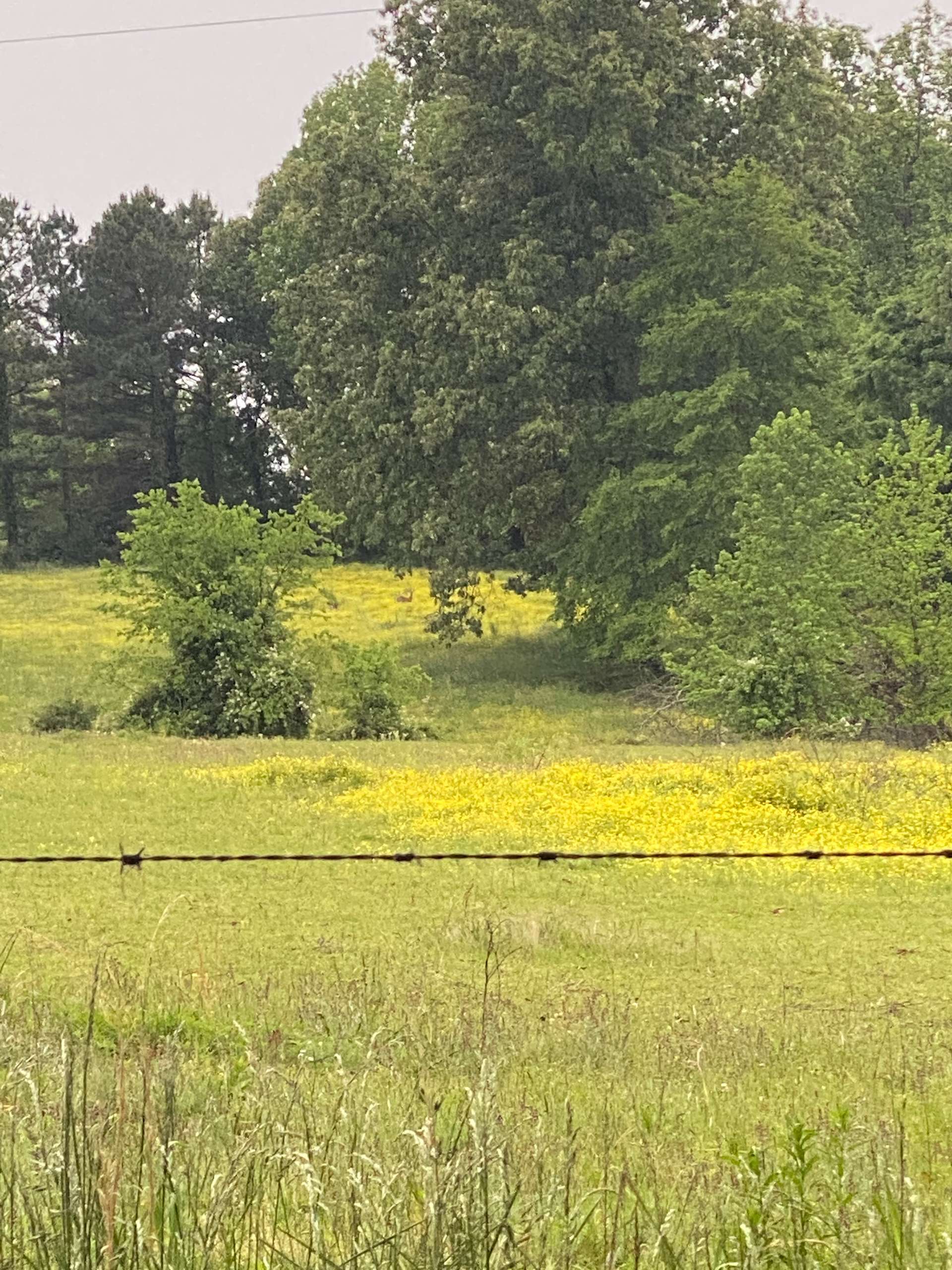 Faulkner Farms Hipcamp in Oak Grove Heights, Arkansas