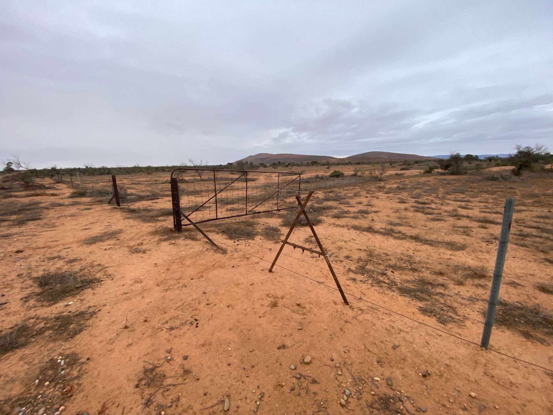 Windee Hill Homestead Hipcamp in Hawker, South Australia